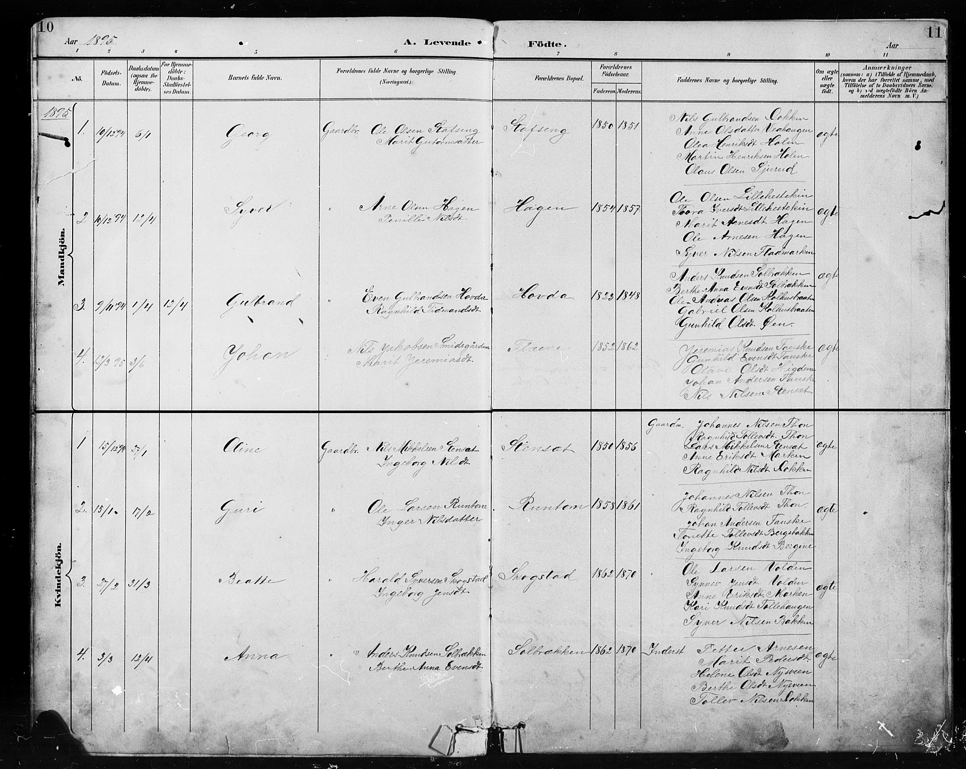 Etnedal prestekontor, SAH/PREST-130/H/Ha/Hab/Habb/L0001: Parish register (copy) no. II 1, 1894-1911, p. 10-11