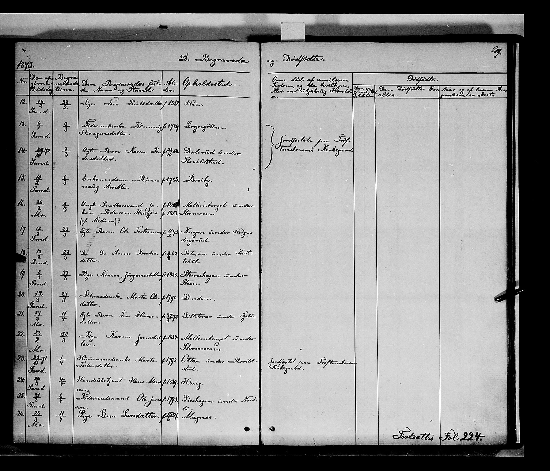 Nord-Odal prestekontor, AV/SAH-PREST-032/H/Ha/Haa/L0004: Parish register (official) no. 4, 1866-1873, p. 209