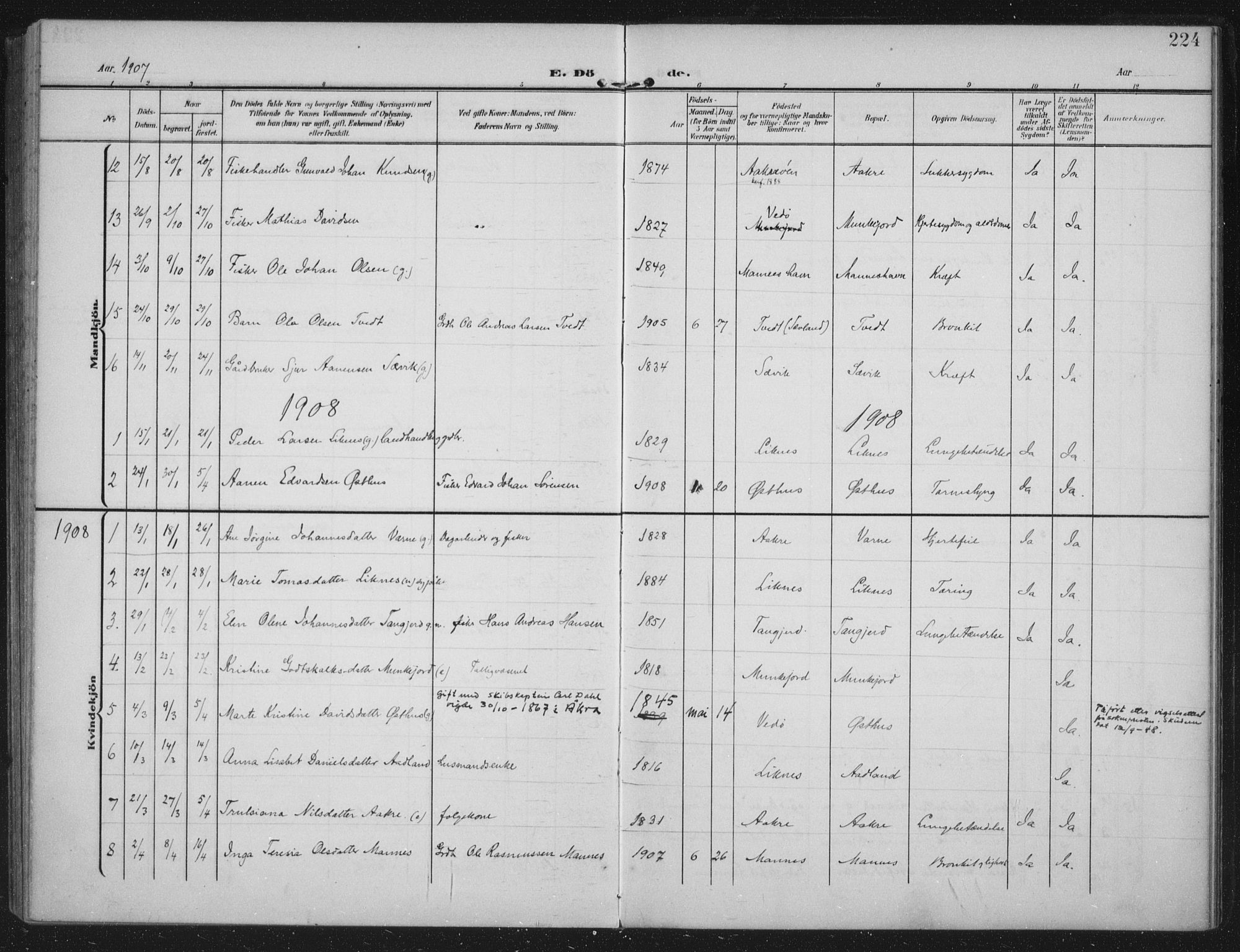 Kopervik sokneprestkontor, AV/SAST-A-101850/H/Ha/Haa/L0005: Parish register (official) no. A 5, 1906-1924, p. 224