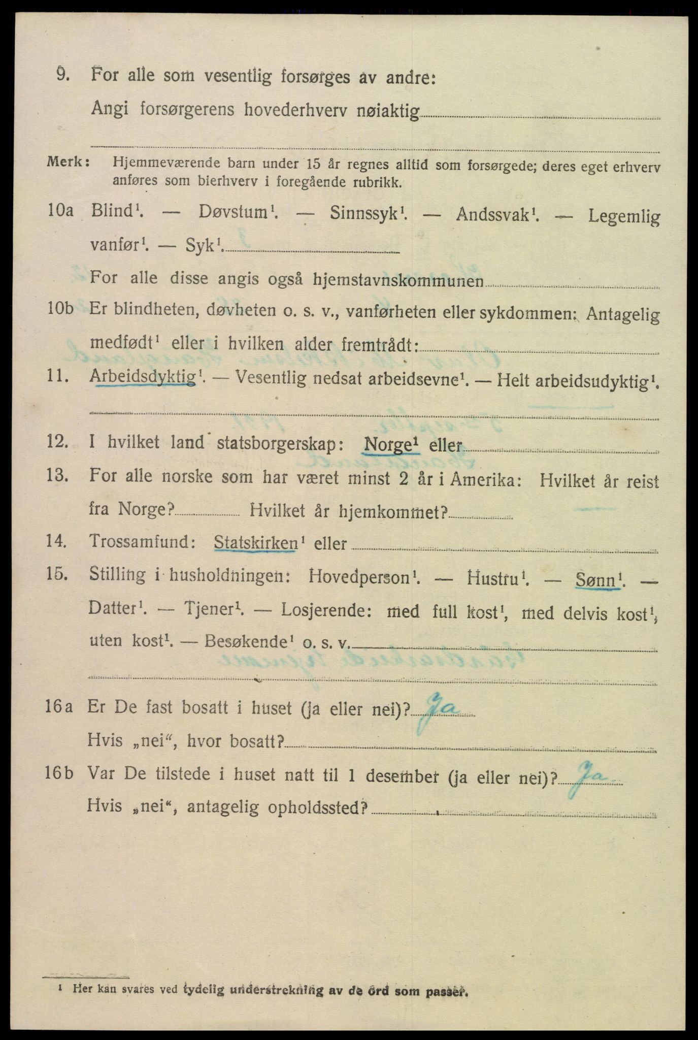 SAK, 1920 census for Hornnes, 1920, p. 2912