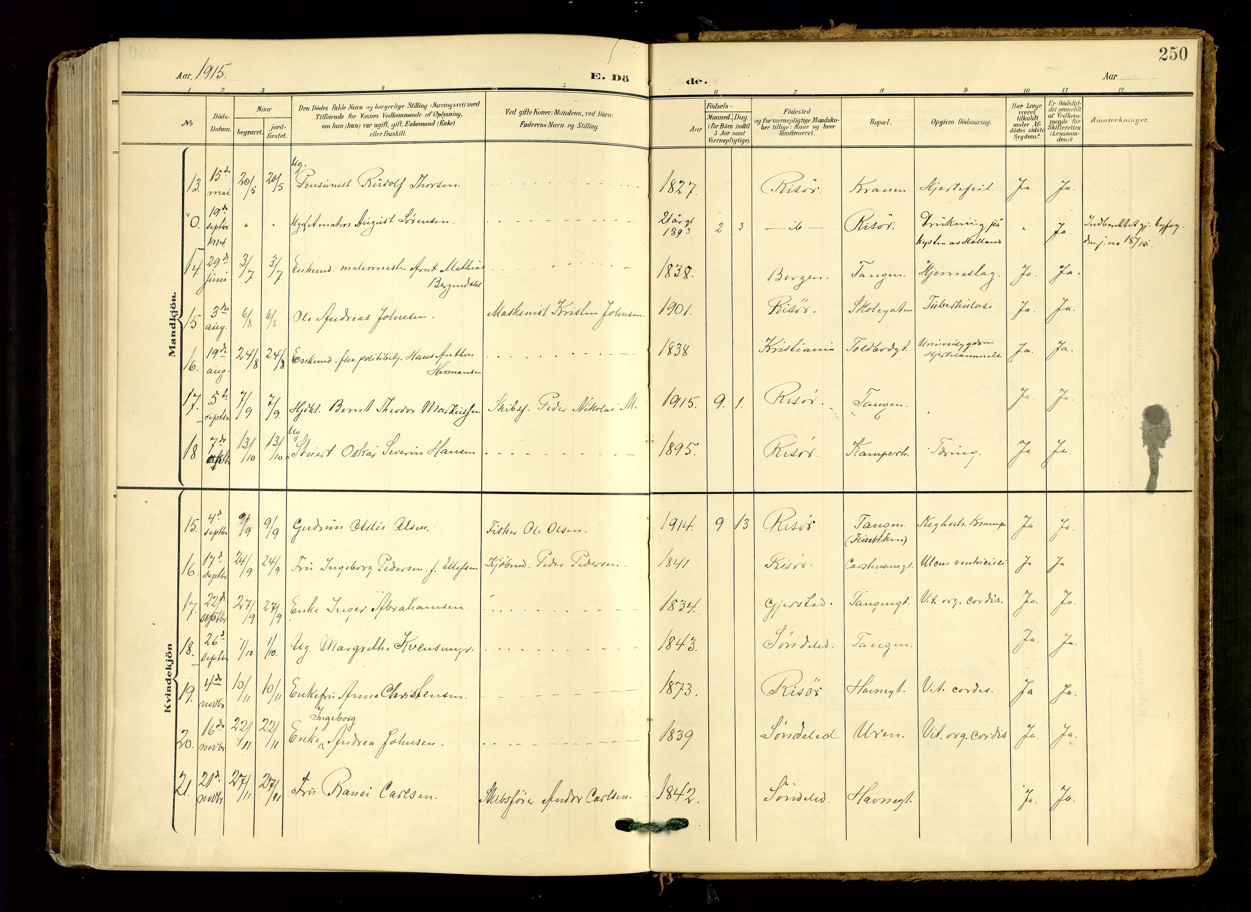 Risør sokneprestkontor, AV/SAK-1111-0035/F/Fa/L0011: Parish register (official) no. A 11, 1907-1920, p. 250