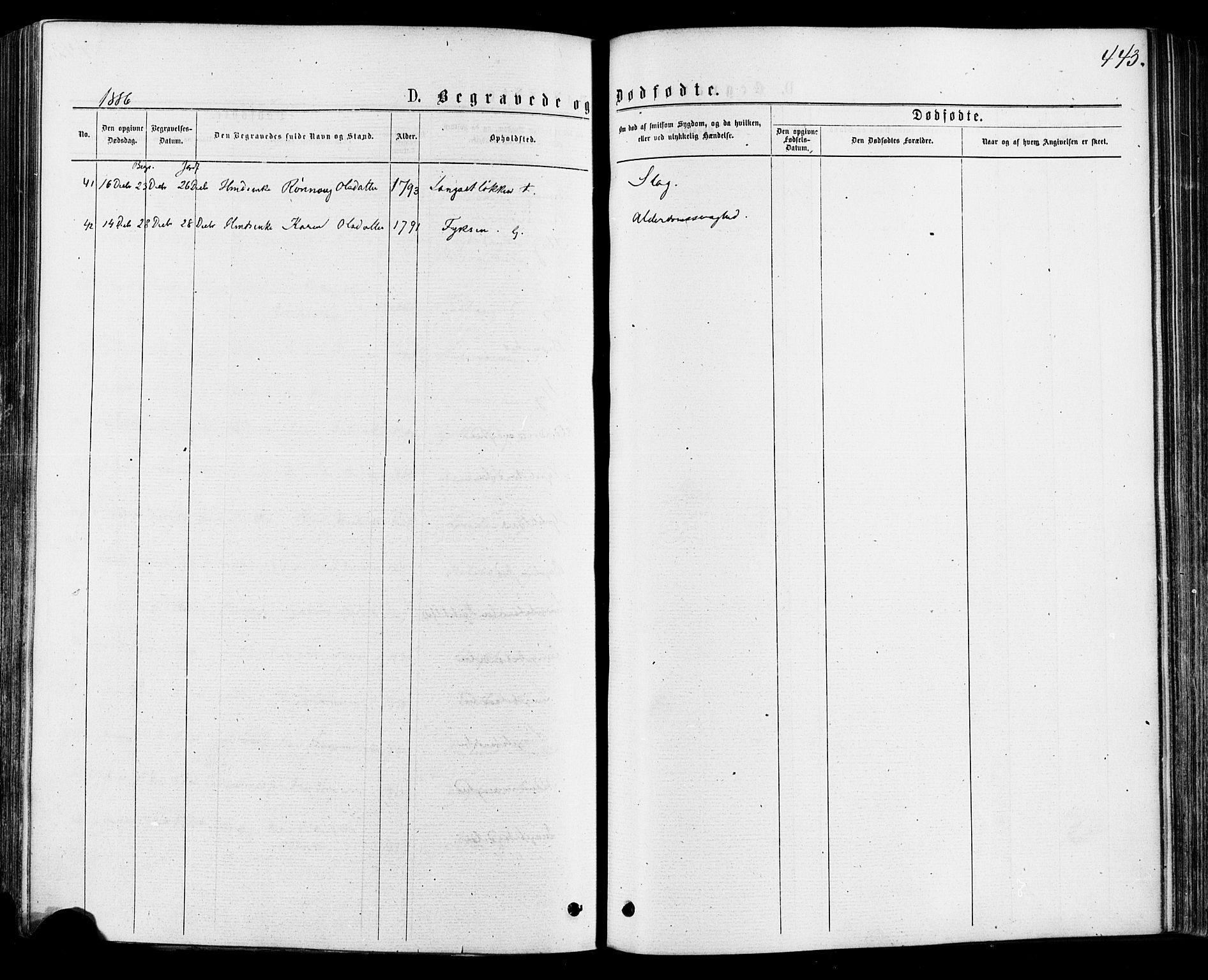Østre Gausdal prestekontor, SAH/PREST-092/H/Ha/Haa/L0001: Parish register (official) no. 1, 1874-1886, p. 443