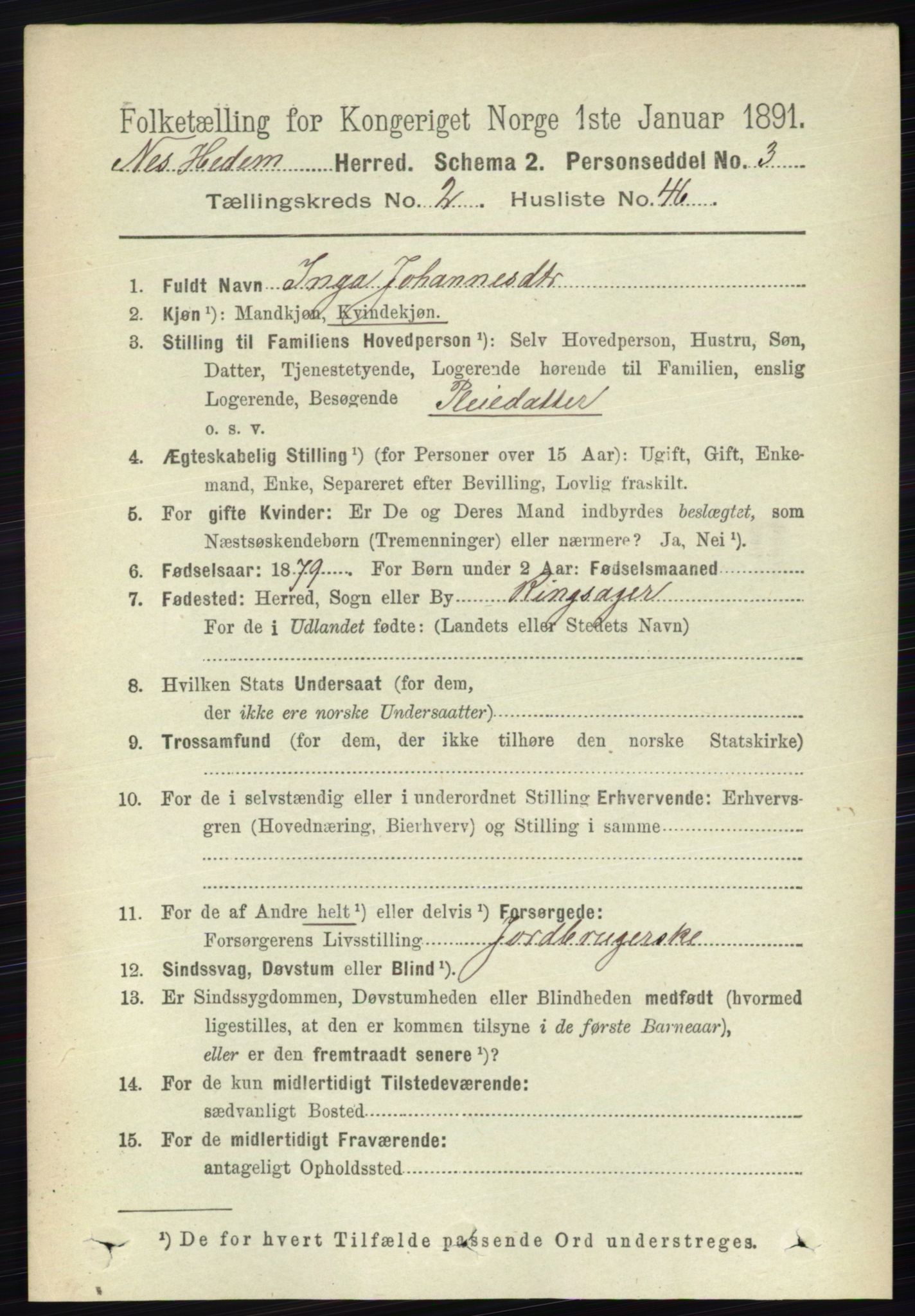RA, 1891 census for 0411 Nes, 1891, p. 1403
