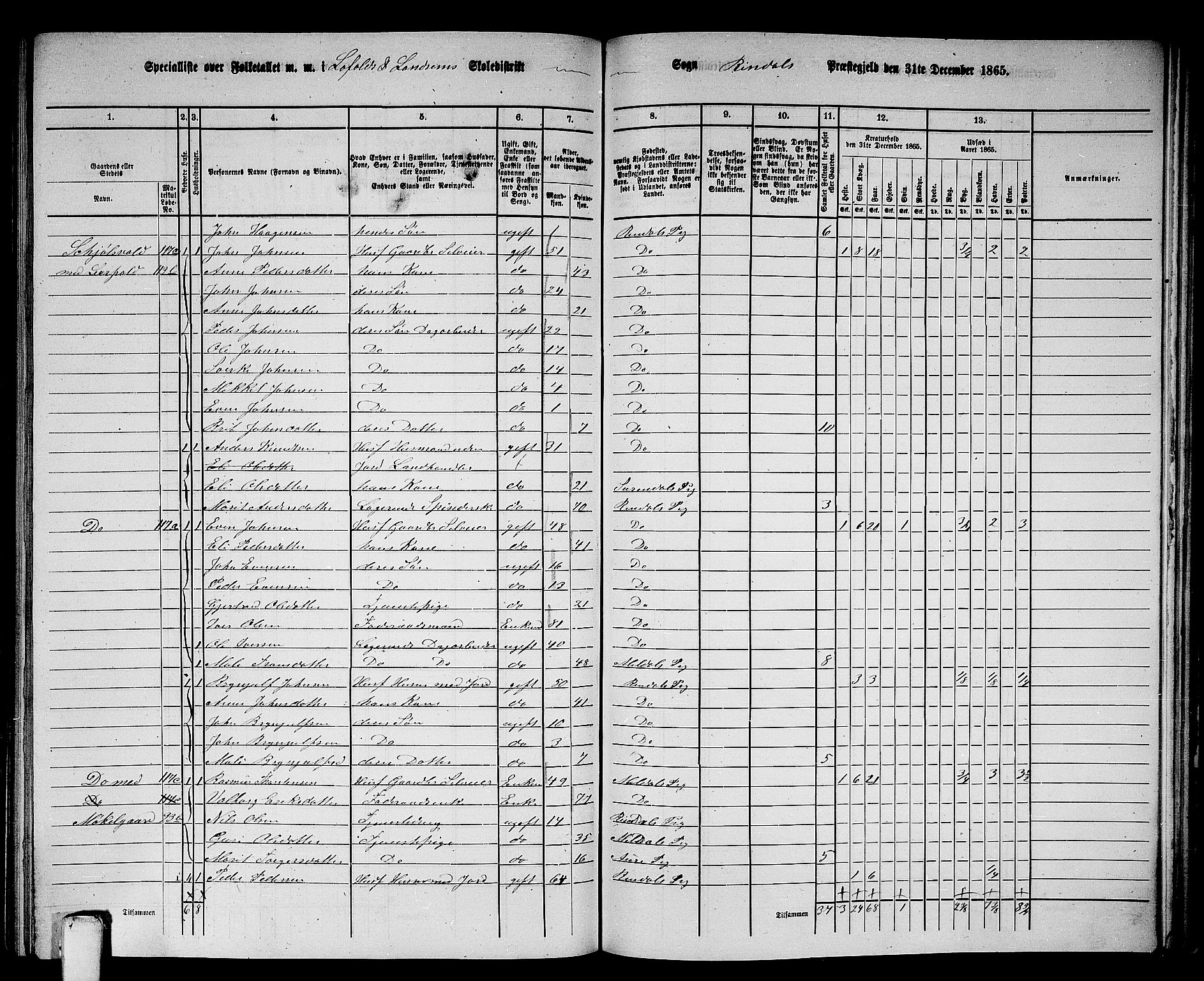 RA, 1865 census for Rindal, 1865, p. 65