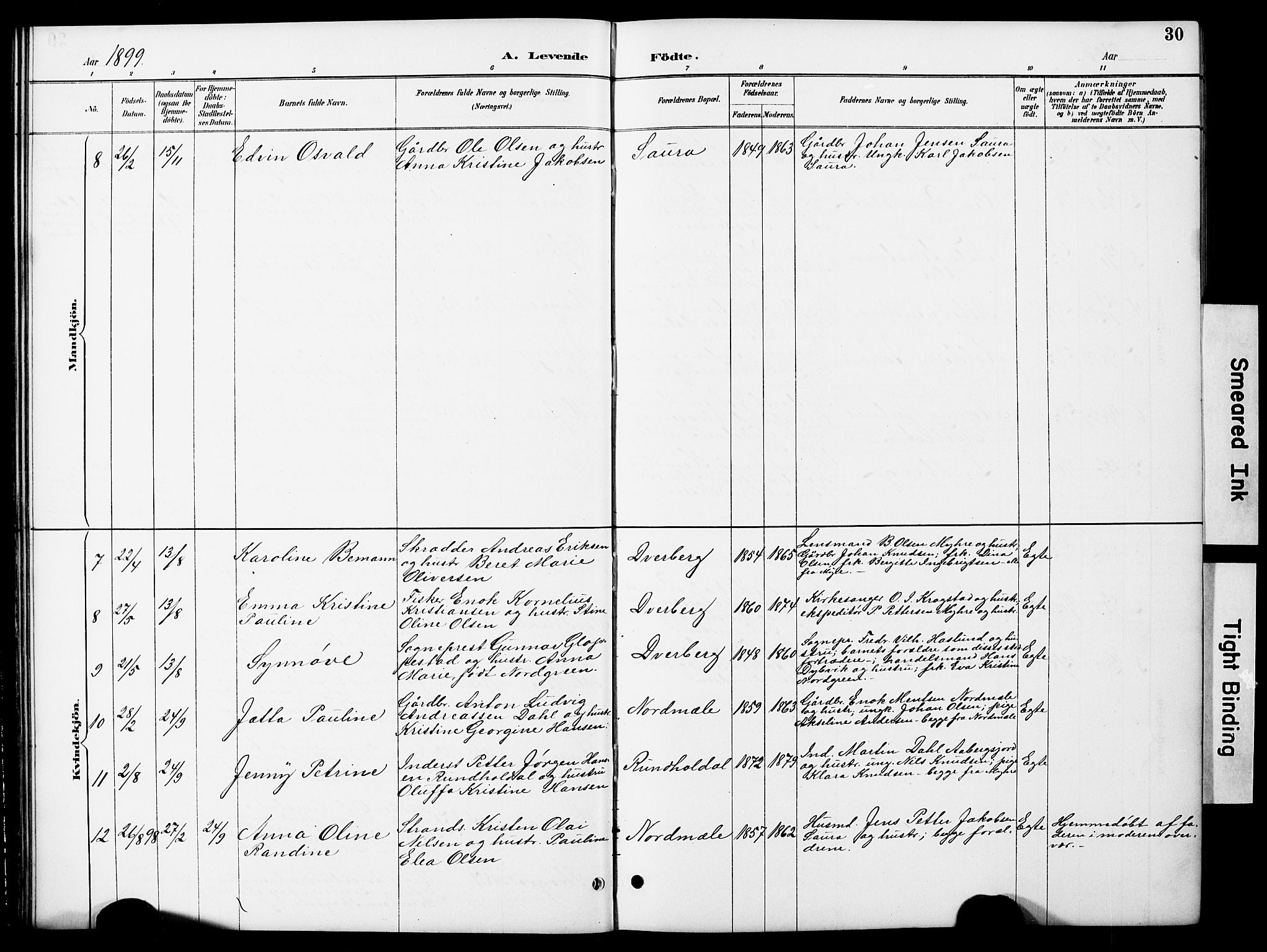 Ministerialprotokoller, klokkerbøker og fødselsregistre - Nordland, AV/SAT-A-1459/897/L1413: Parish register (copy) no. 897C03, 1887-1903, p. 30
