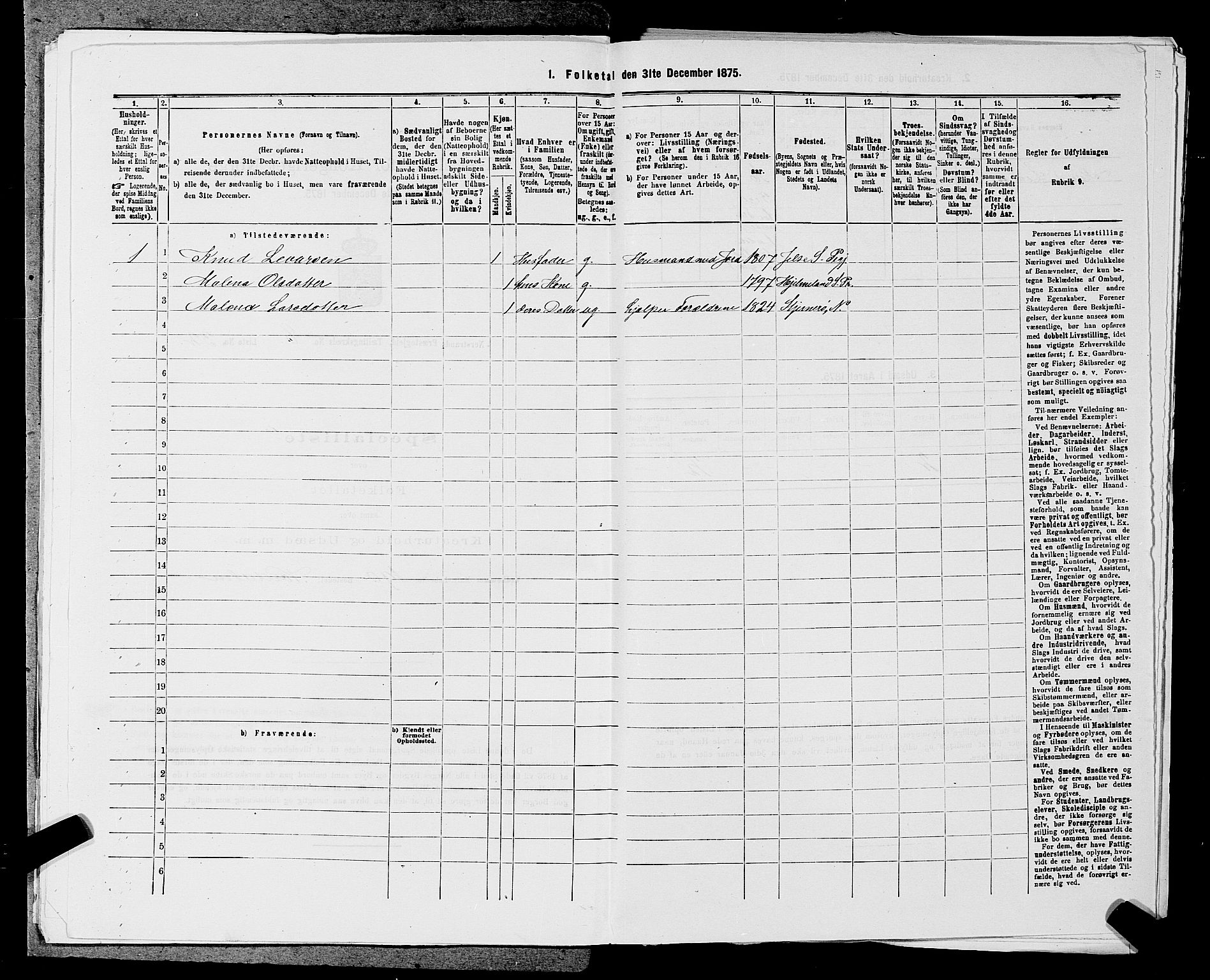 SAST, 1875 census for 1139P Nedstrand, 1875, p. 924