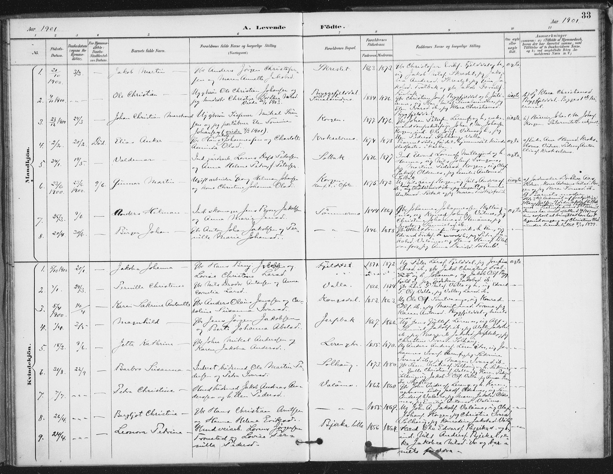 Ministerialprotokoller, klokkerbøker og fødselsregistre - Nordland, SAT/A-1459/826/L0380: Parish register (official) no. 826A03, 1891-1911, p. 33