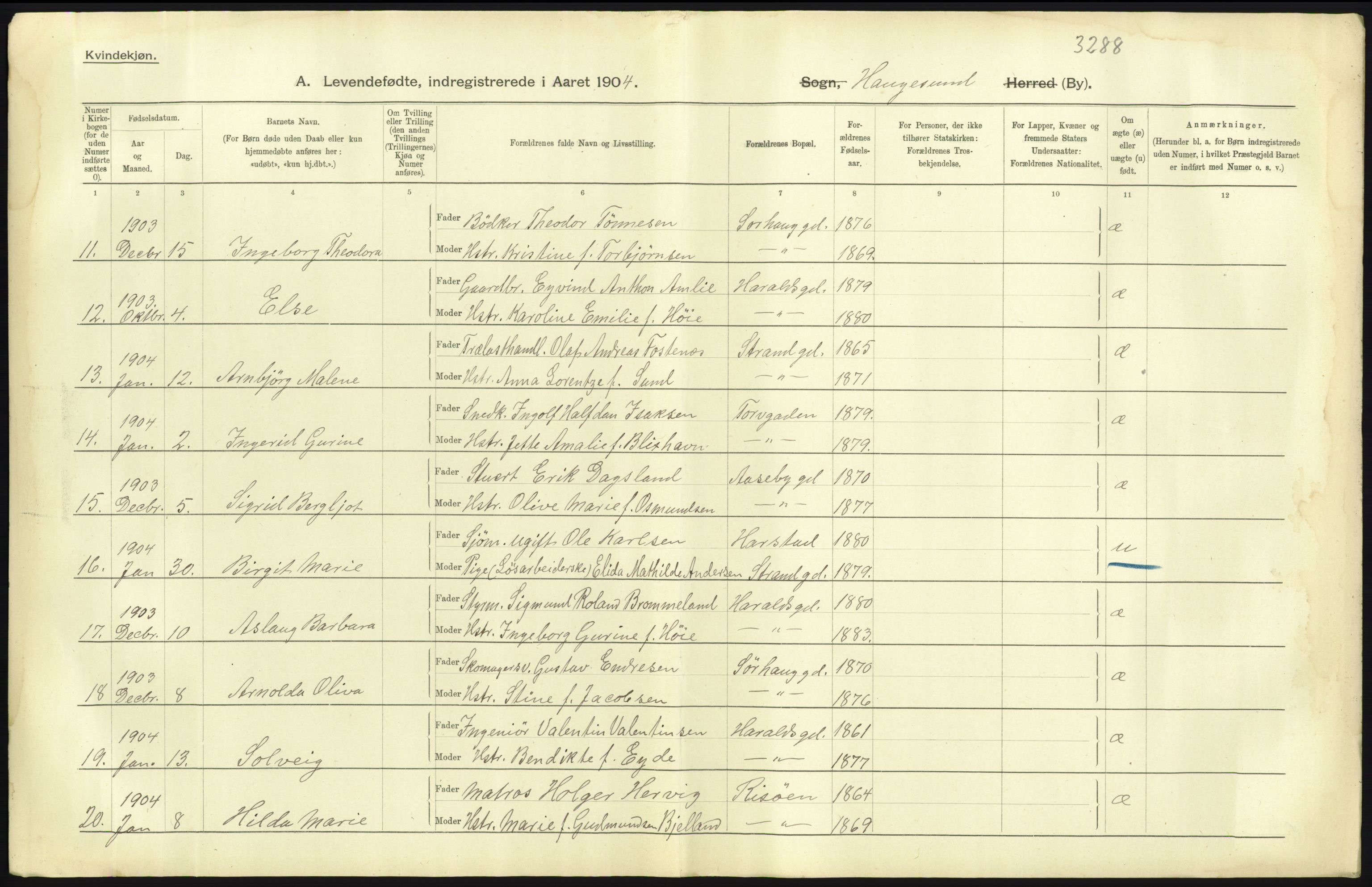 Statistisk sentralbyrå, Sosiodemografiske emner, Befolkning, AV/RA-S-2228/D/Df/Dfa/Dfab/L0012: Stavanger amt: Fødte, gifte, døde, 1904, p. 31