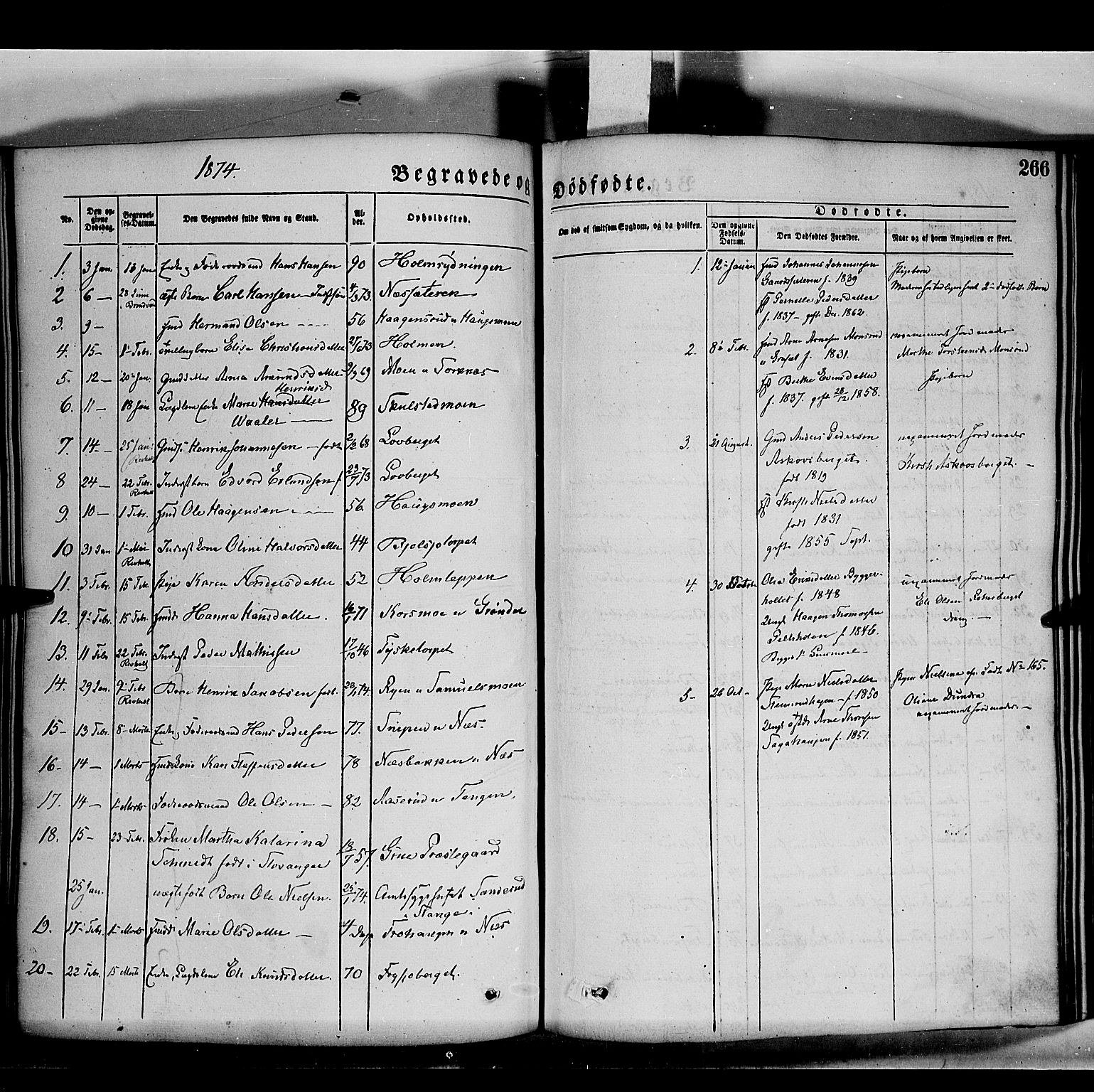 Grue prestekontor, SAH/PREST-036/H/Ha/Haa/L0011: Parish register (official) no. 11, 1873-1880, p. 266