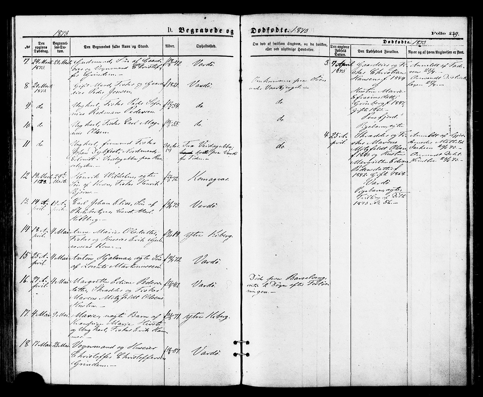 Vardø sokneprestkontor, SATØ/S-1332/H/Ha/L0005kirke: Parish register (official) no. 5, 1872-1878, p. 239