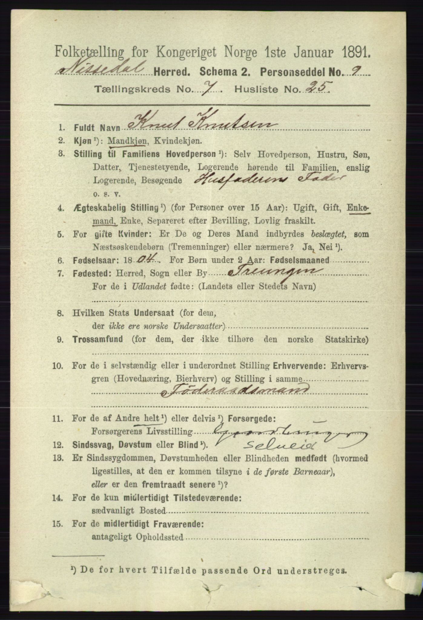 RA, 1891 census for 0830 Nissedal, 1891, p. 1640