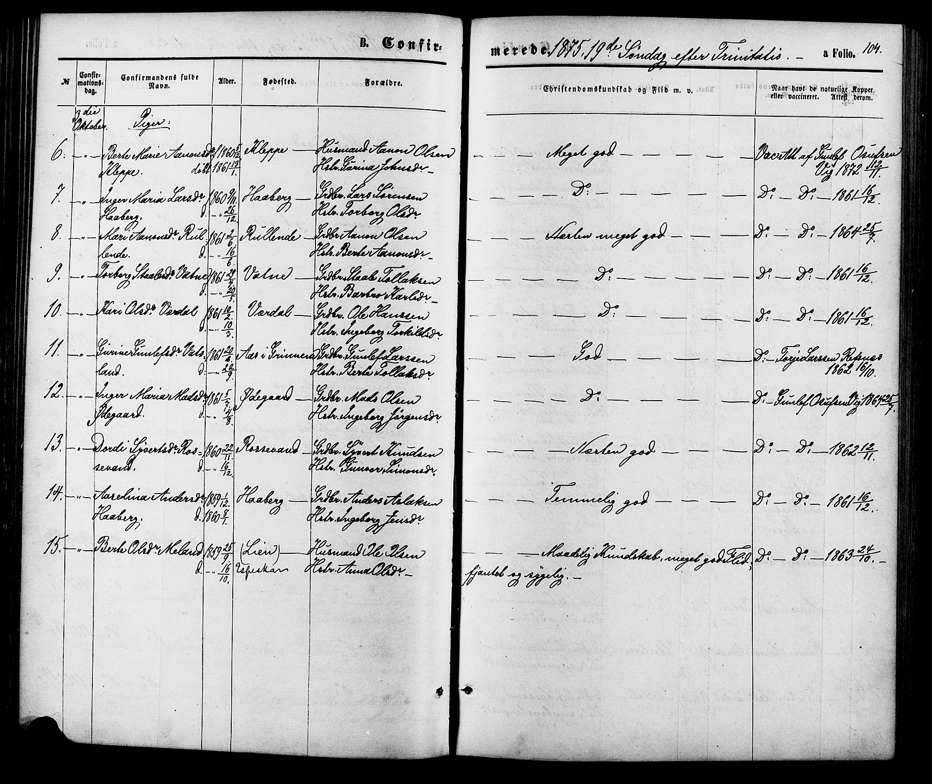 Hægebostad sokneprestkontor, SAK/1111-0024/F/Fa/Fab/L0003: Parish register (official) no. A 3, 1872-1886, p. 104