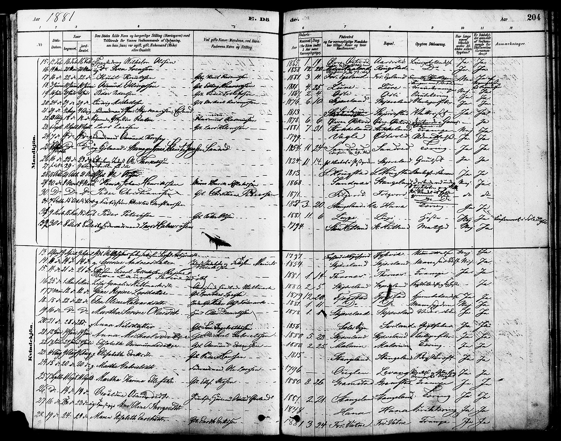 Høyland sokneprestkontor, AV/SAST-A-101799/001/30BA/L0011: Parish register (official) no. A 10, 1878-1888, p. 204