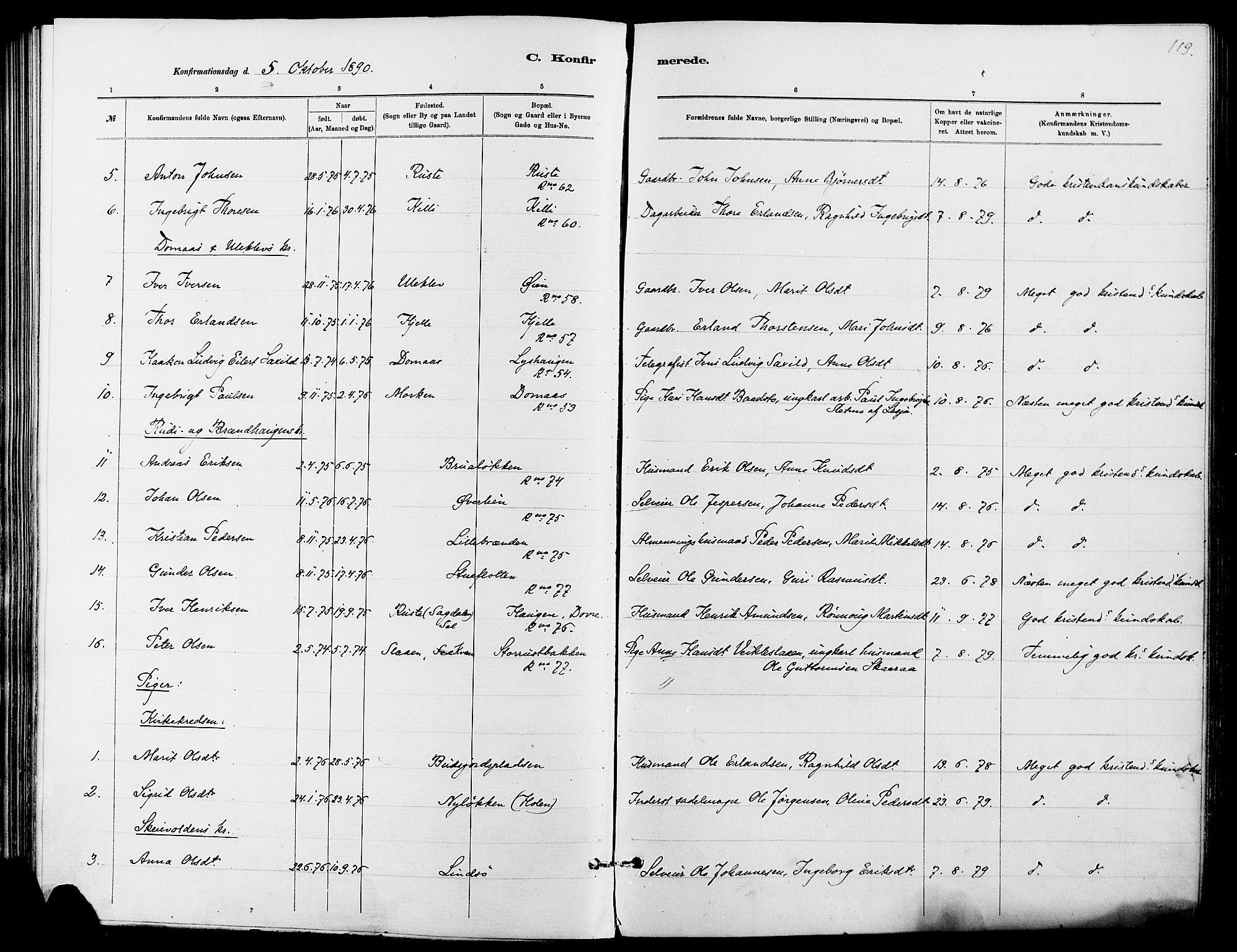 Dovre prestekontor, SAH/PREST-066/H/Ha/Haa/L0002: Parish register (official) no. 2, 1879-1890, p. 119