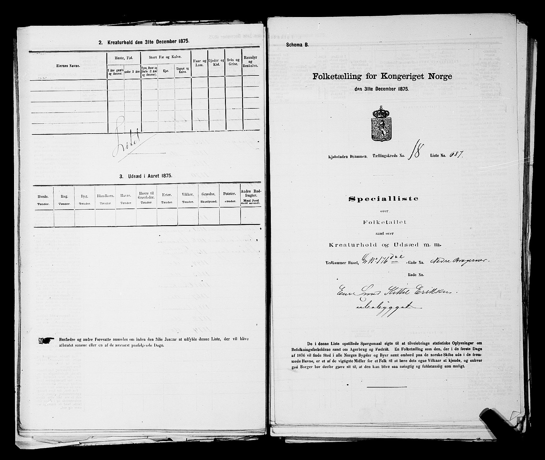 SAKO, 1875 census for 0602 Drammen, 1875, p. 1941