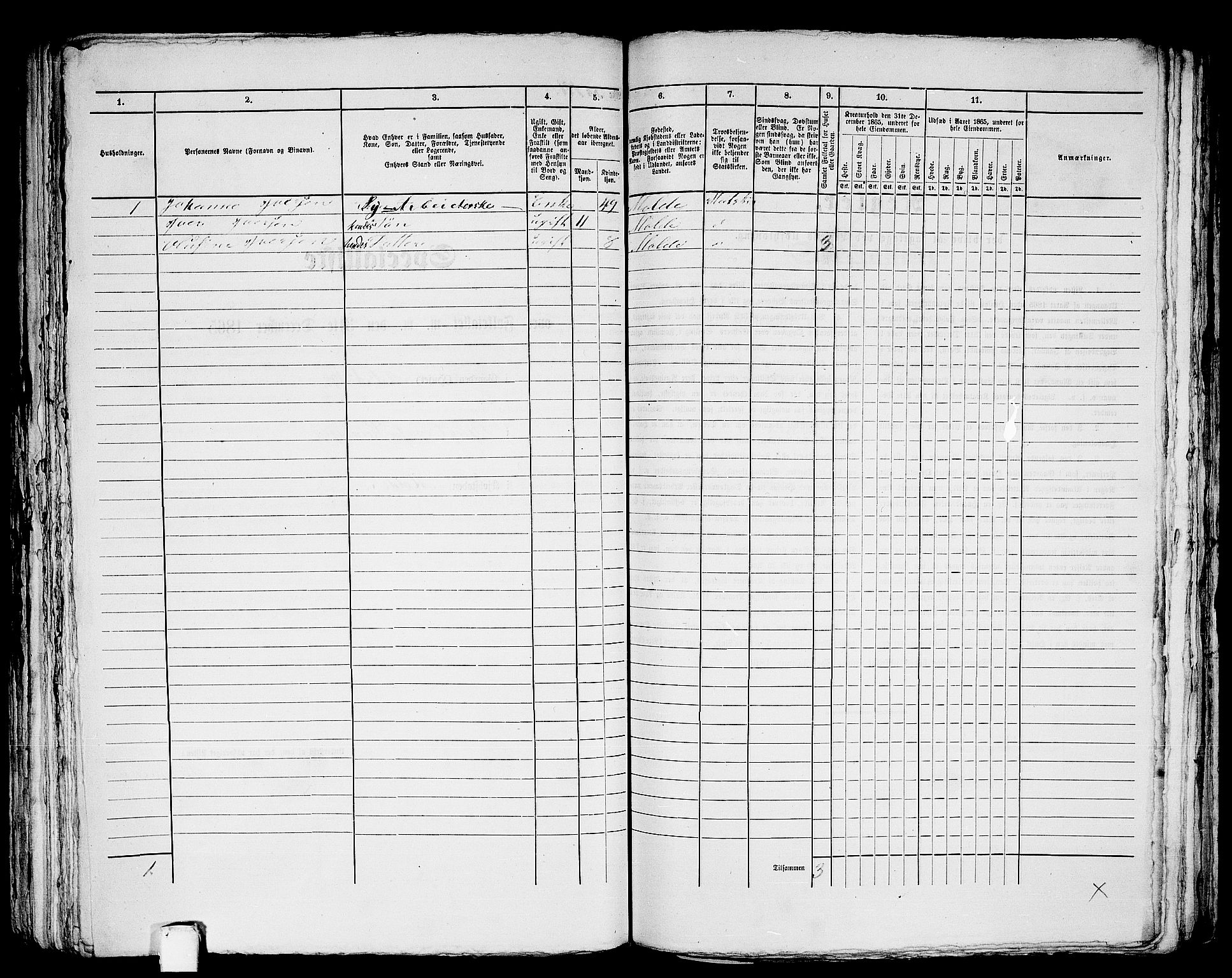 RA, 1865 census for Molde, 1865, p. 253