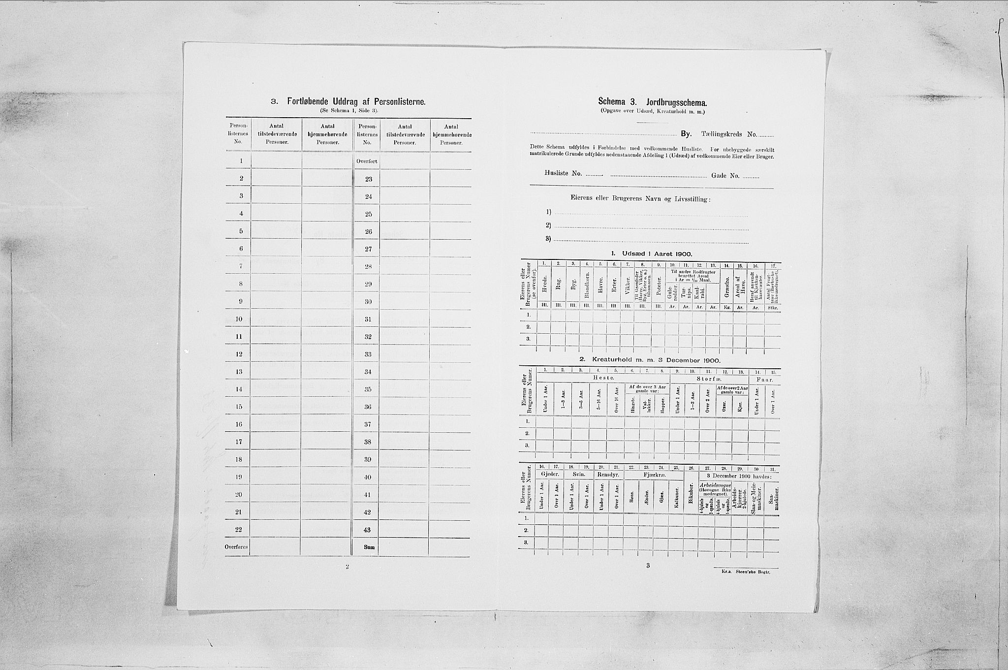 SAO, 1900 census for Fredrikstad, 1900