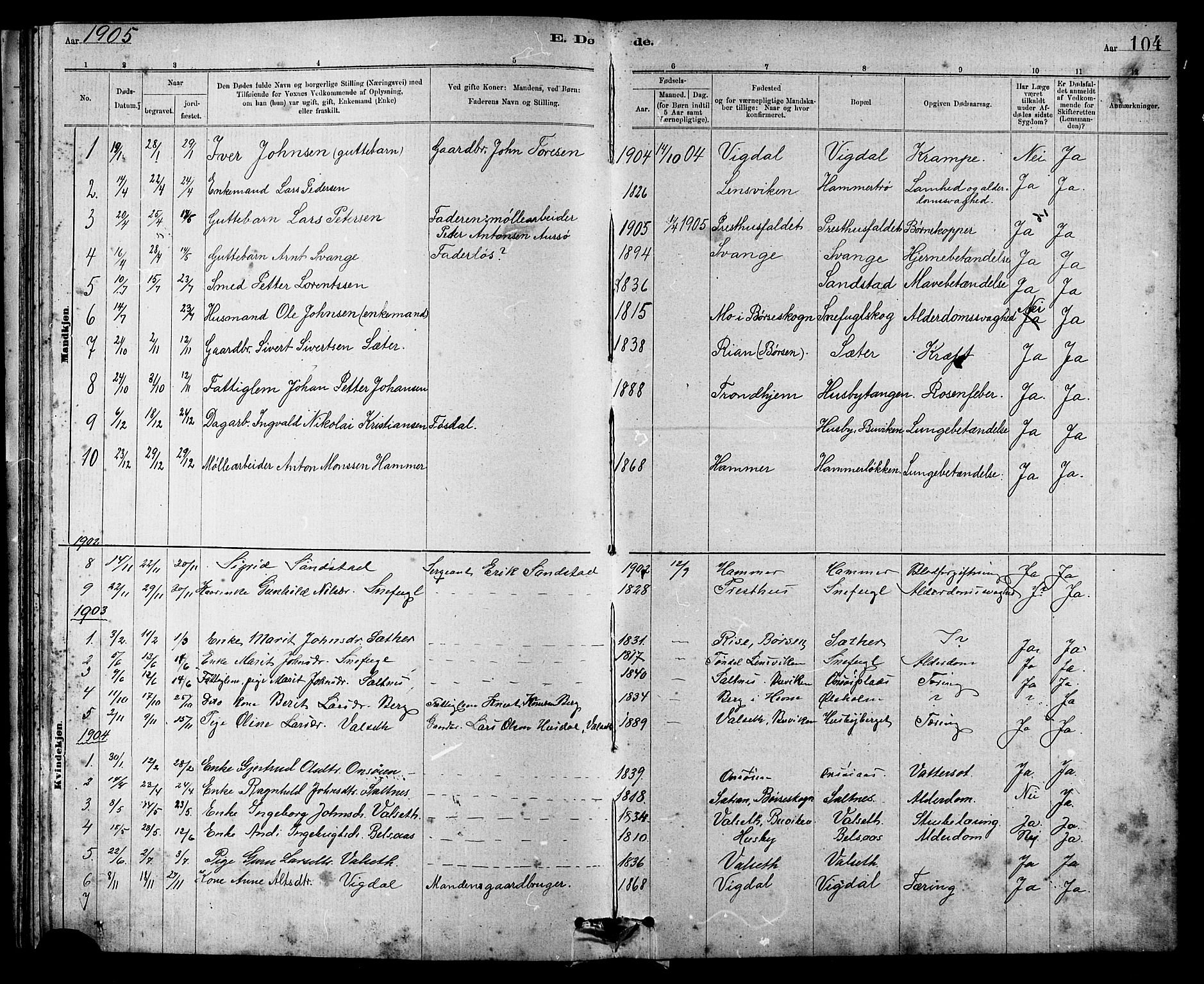 Ministerialprotokoller, klokkerbøker og fødselsregistre - Sør-Trøndelag, SAT/A-1456/666/L0790: Parish register (copy) no. 666C03, 1885-1908, p. 104