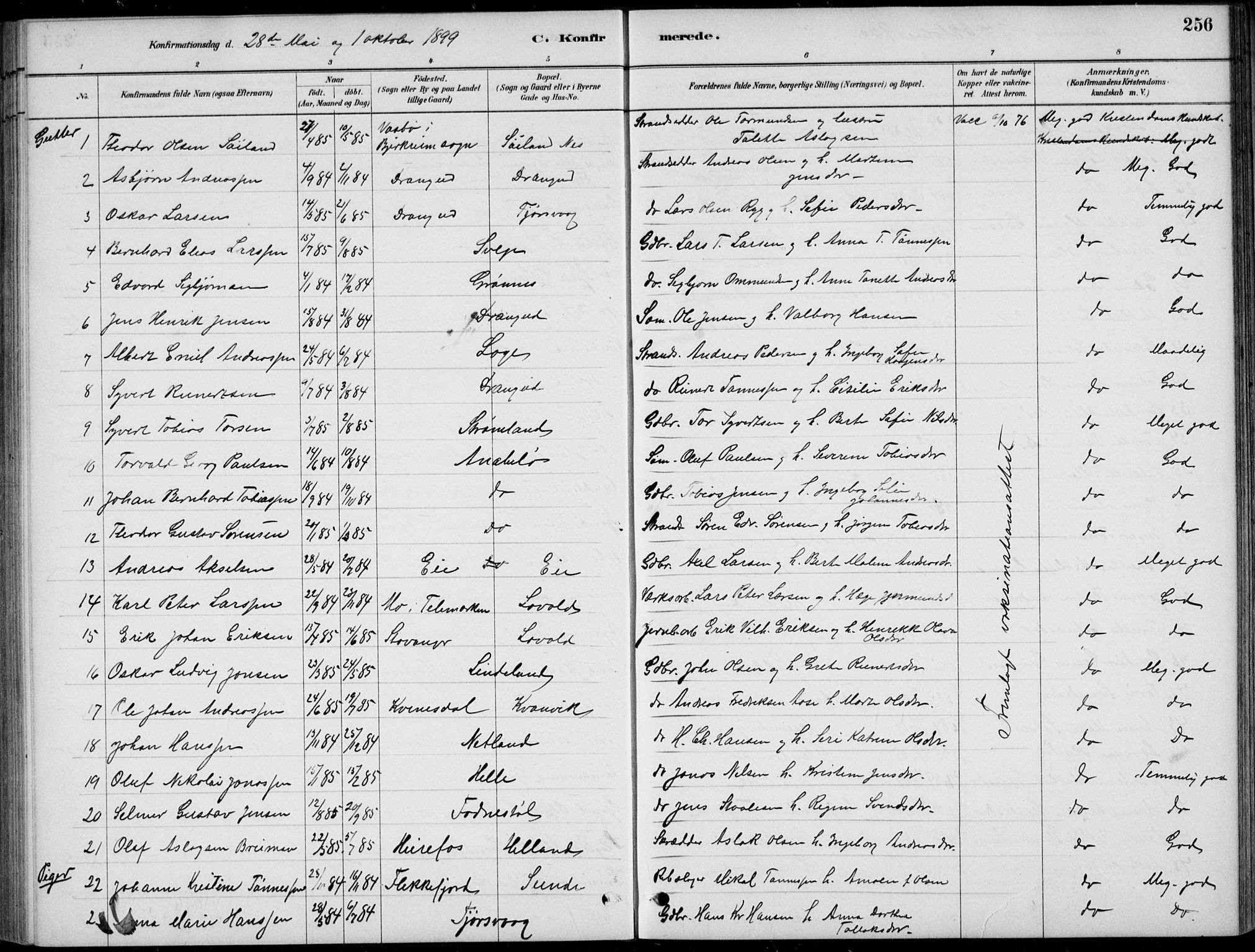Flekkefjord sokneprestkontor, SAK/1111-0012/F/Fb/Fbc/L0007: Parish register (copy) no. B 7, 1880-1902, p. 256