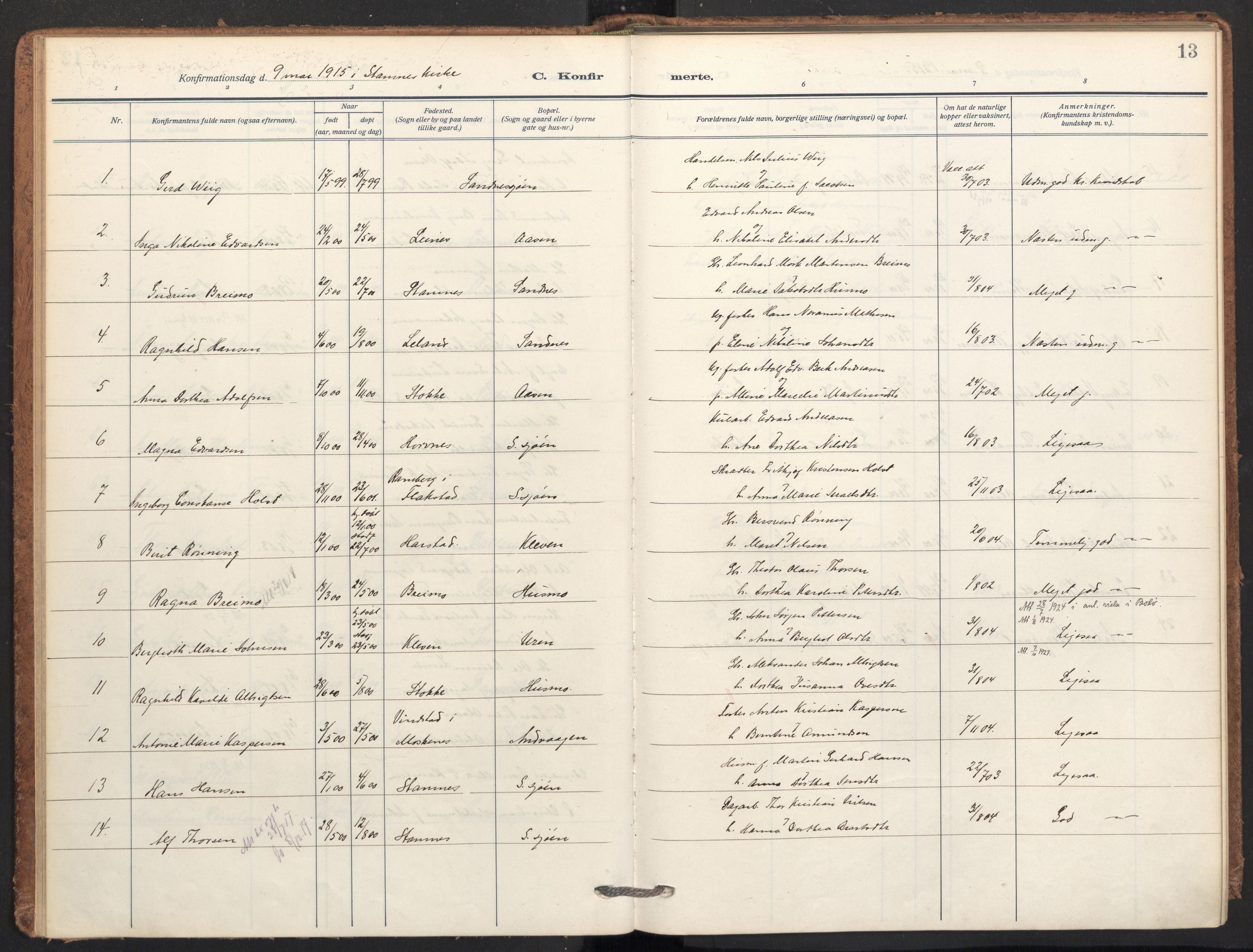 Ministerialprotokoller, klokkerbøker og fødselsregistre - Nordland, AV/SAT-A-1459/831/L0473: Parish register (official) no. 831A04, 1909-1934, p. 13