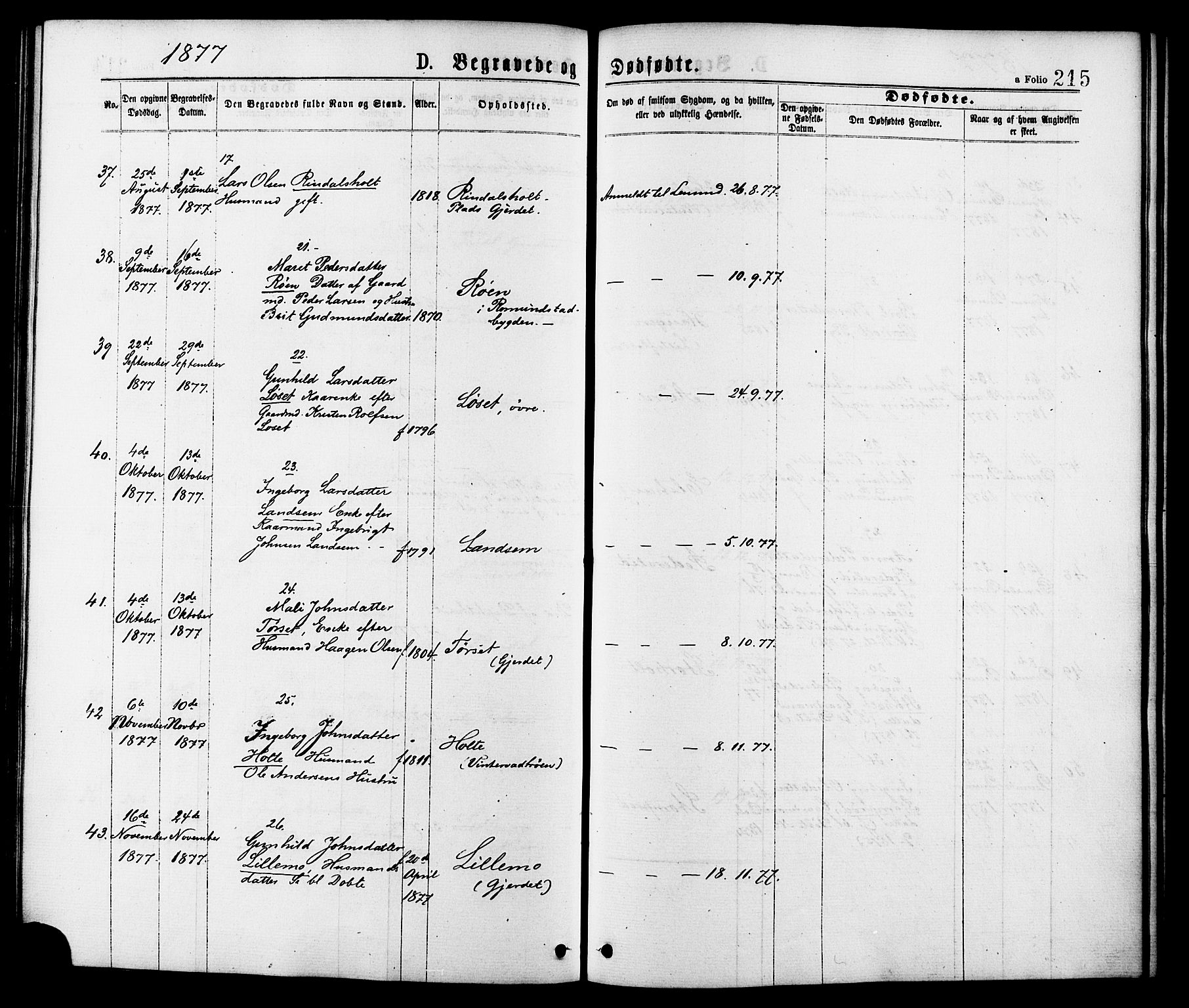 Ministerialprotokoller, klokkerbøker og fødselsregistre - Møre og Romsdal, AV/SAT-A-1454/598/L1068: Parish register (official) no. 598A02, 1872-1881, p. 215