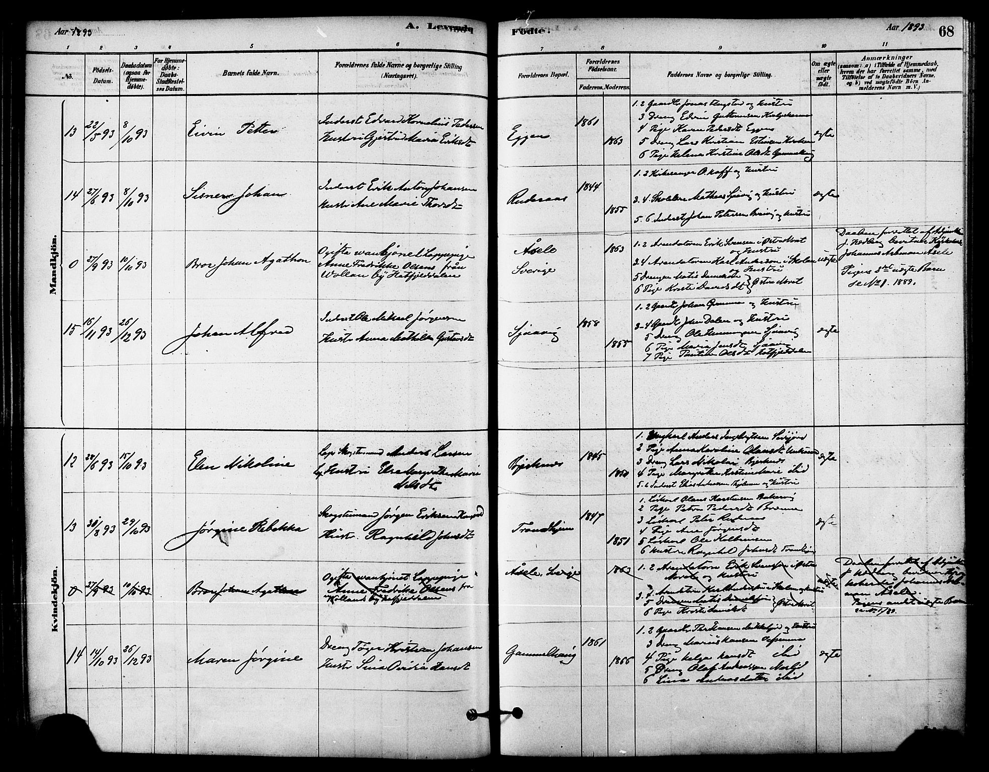 Ministerialprotokoller, klokkerbøker og fødselsregistre - Nordland, AV/SAT-A-1459/823/L0325: Parish register (official) no. 823A02, 1878-1898, p. 68