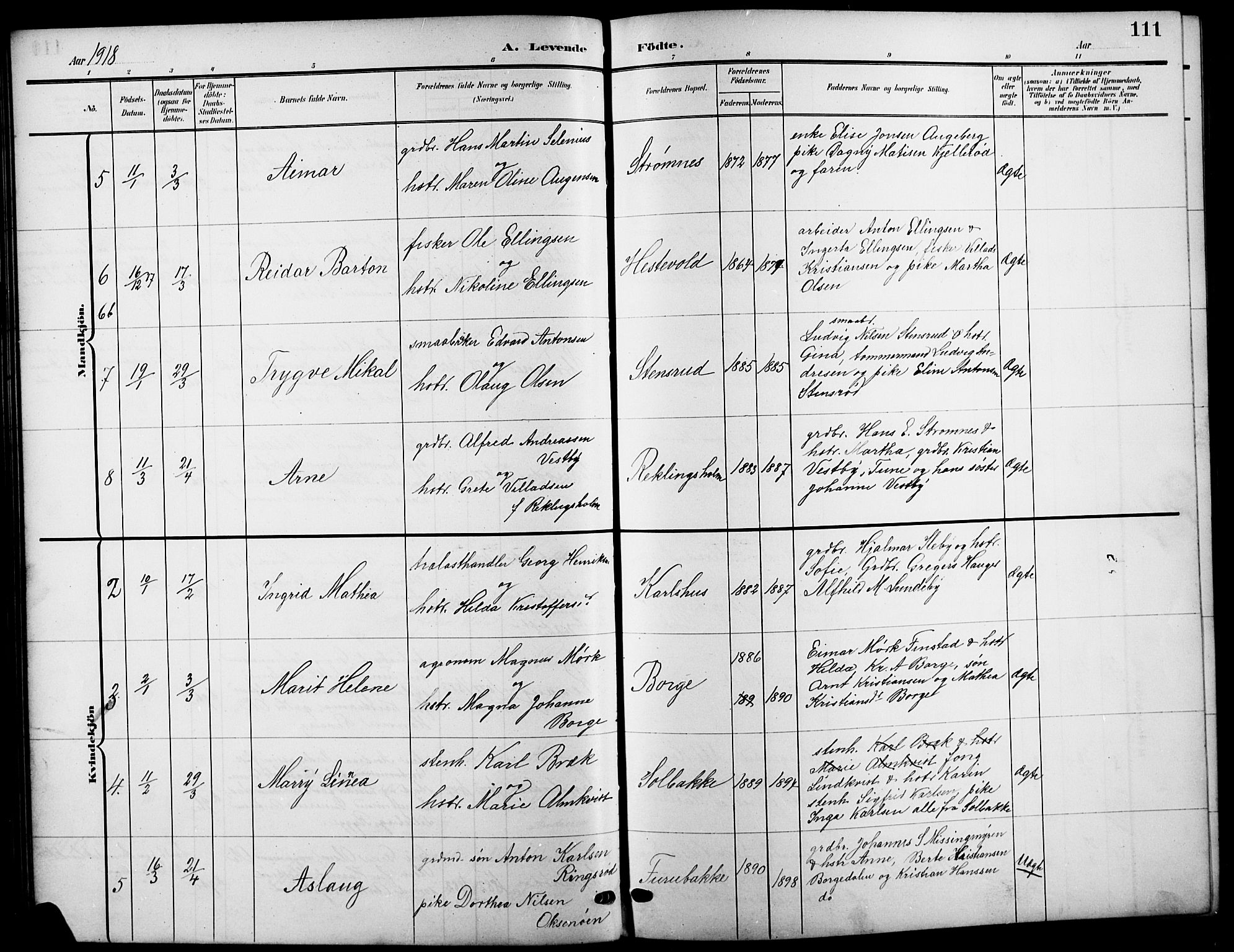 Råde prestekontor kirkebøker, SAO/A-2009/G/Ga/L0001: Parish register (copy) no. 1, 1903-1925, p. 111