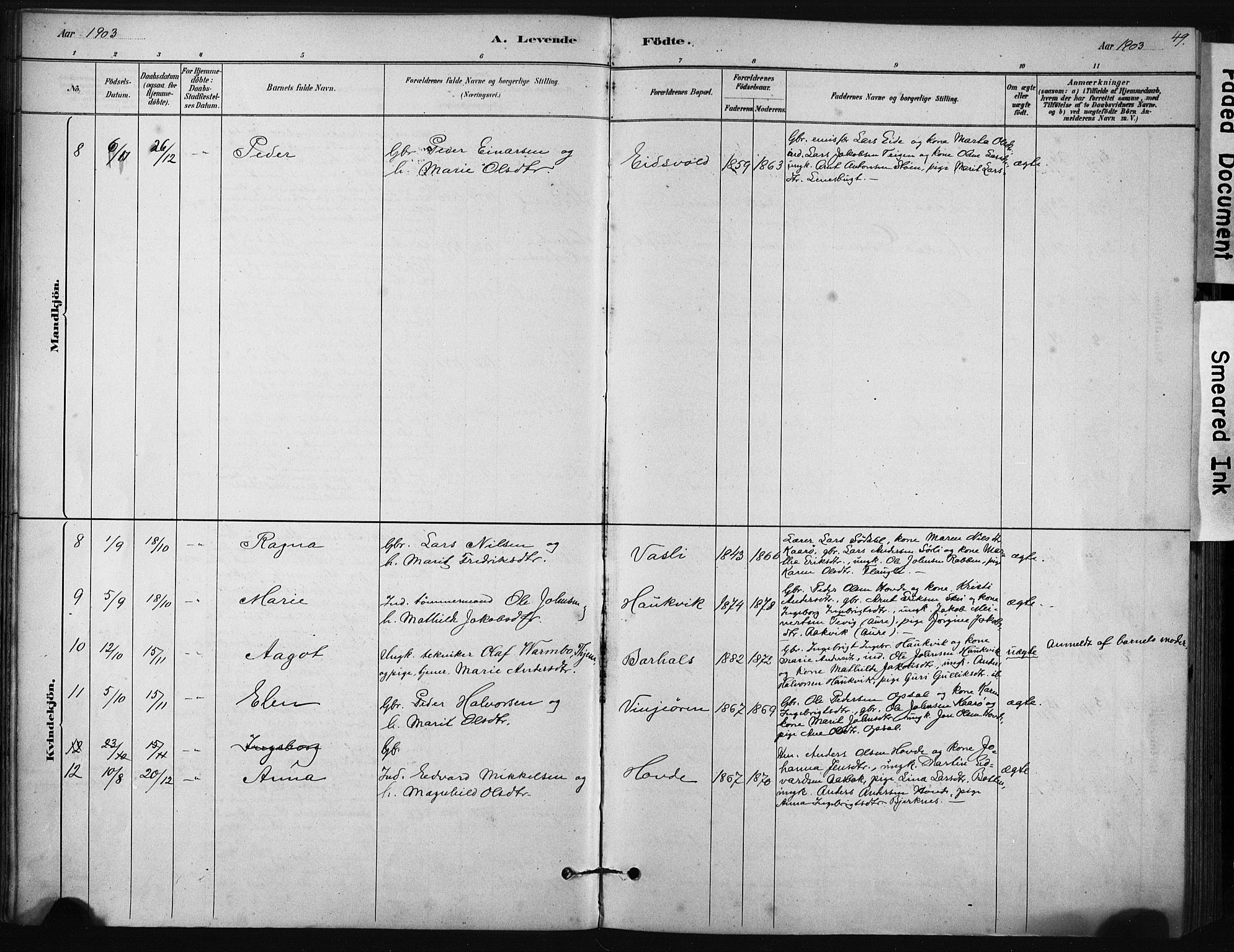 Ministerialprotokoller, klokkerbøker og fødselsregistre - Sør-Trøndelag, AV/SAT-A-1456/631/L0512: Parish register (official) no. 631A01, 1879-1912, p. 49