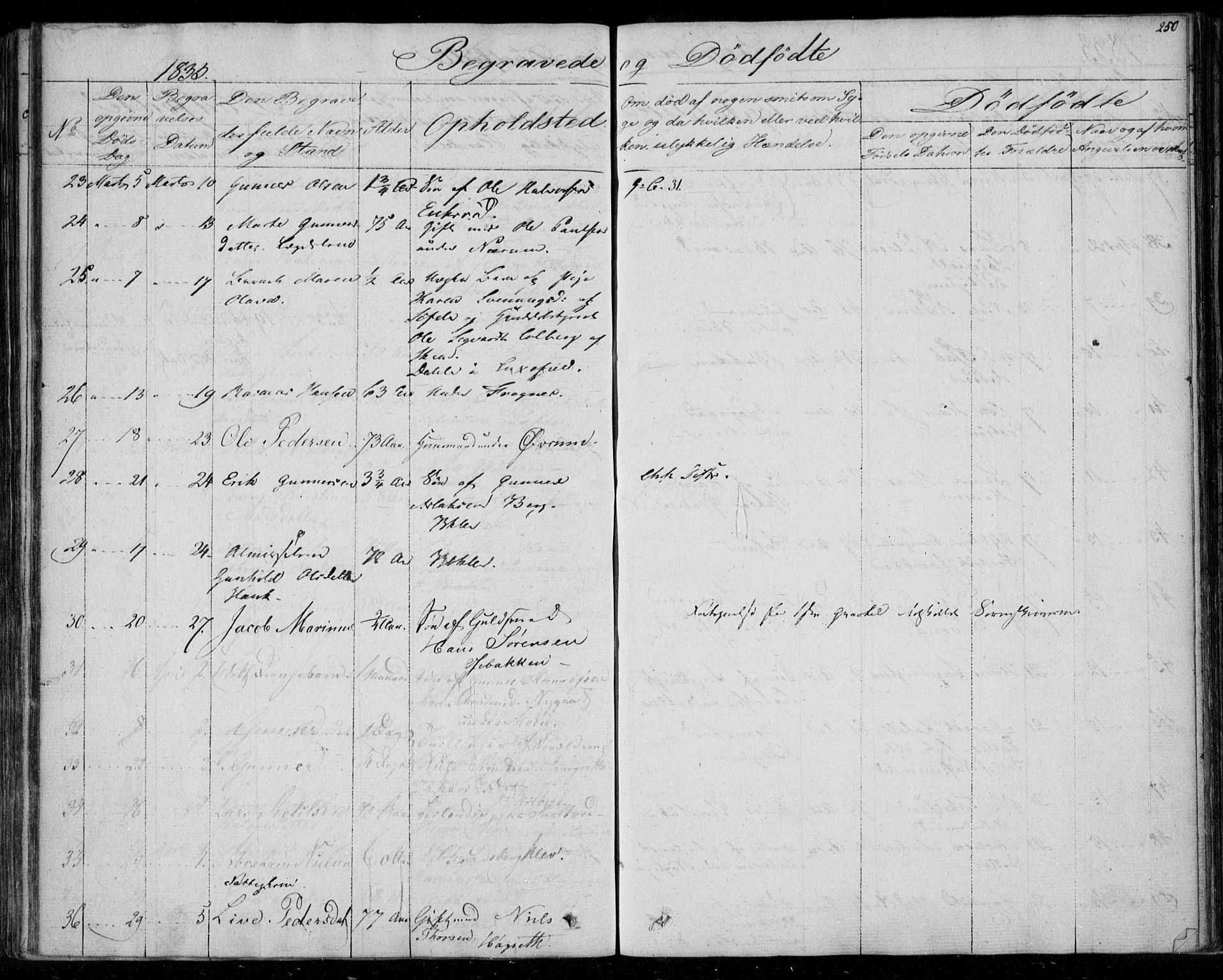 Gjerpen kirkebøker, AV/SAKO-A-265/F/Fa/L0006: Parish register (official) no. I 6, 1829-1834, p. 250