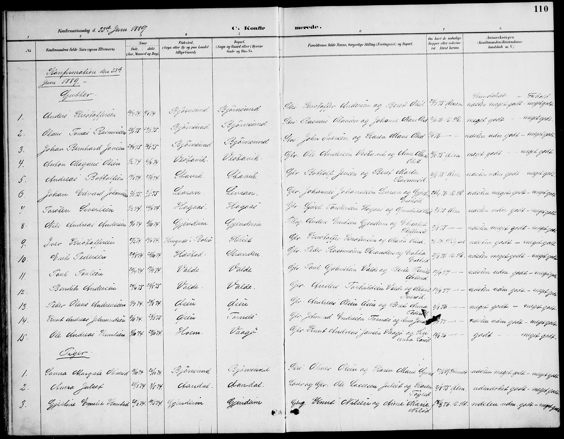 Ministerialprotokoller, klokkerbøker og fødselsregistre - Møre og Romsdal, AV/SAT-A-1454/565/L0750: Parish register (official) no. 565A04, 1887-1905, p. 110