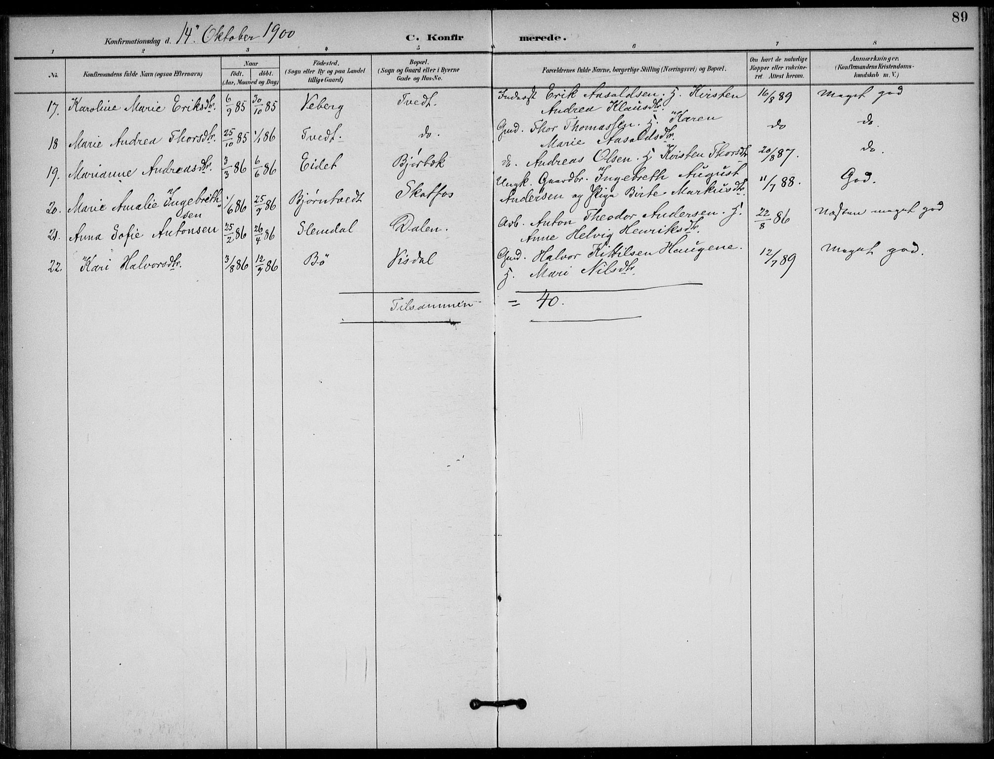 Solum kirkebøker, AV/SAKO-A-306/F/Fb/L0002: Parish register (official) no. II 2, 1893-1901, p. 89