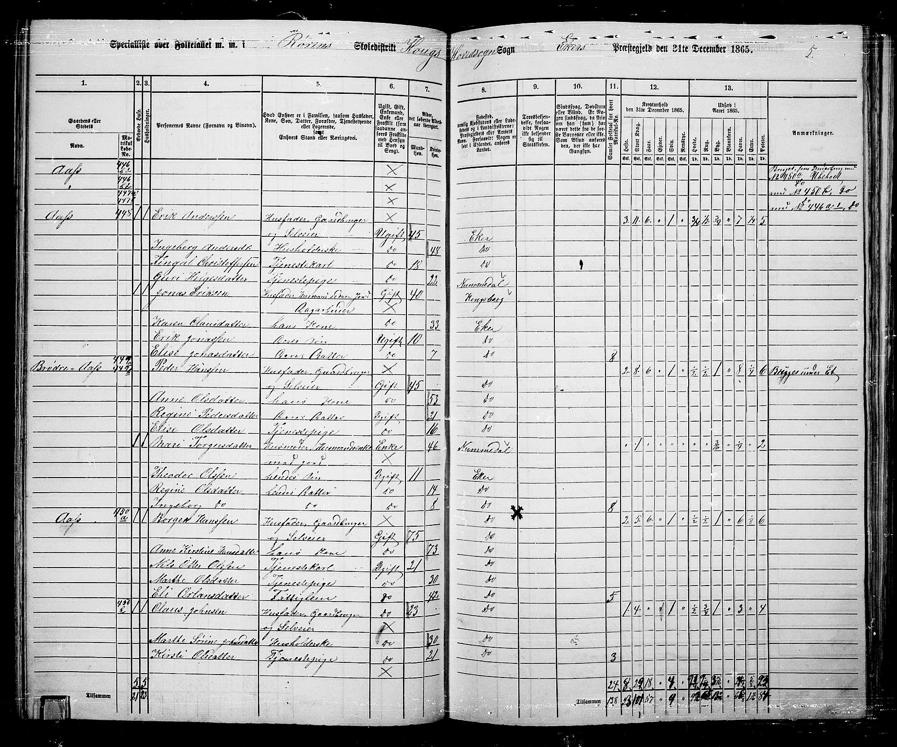 RA, 1865 census for Eiker, 1865, p. 109