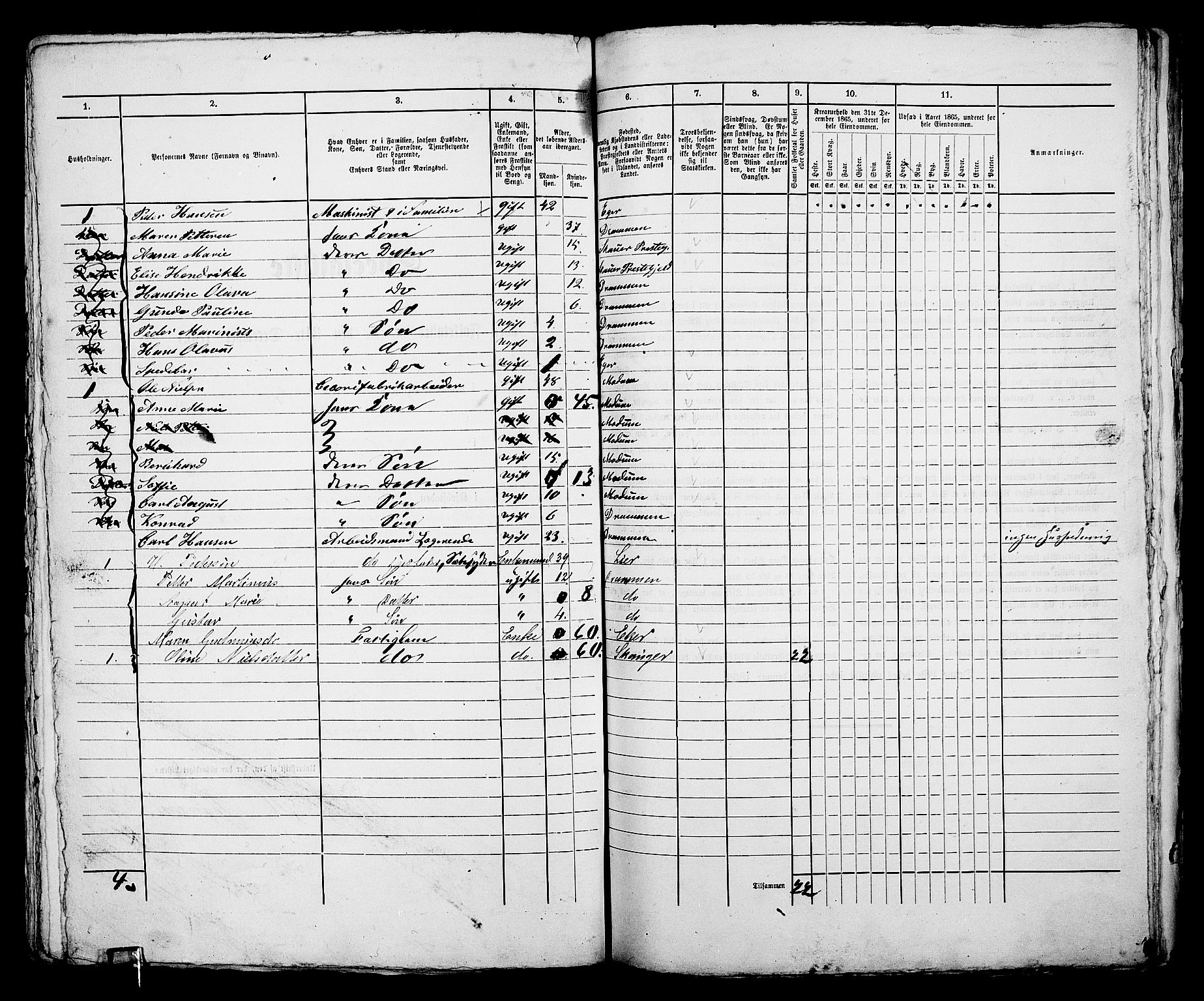 RA, 1865 census for Bragernes in Drammen, 1865, p. 367