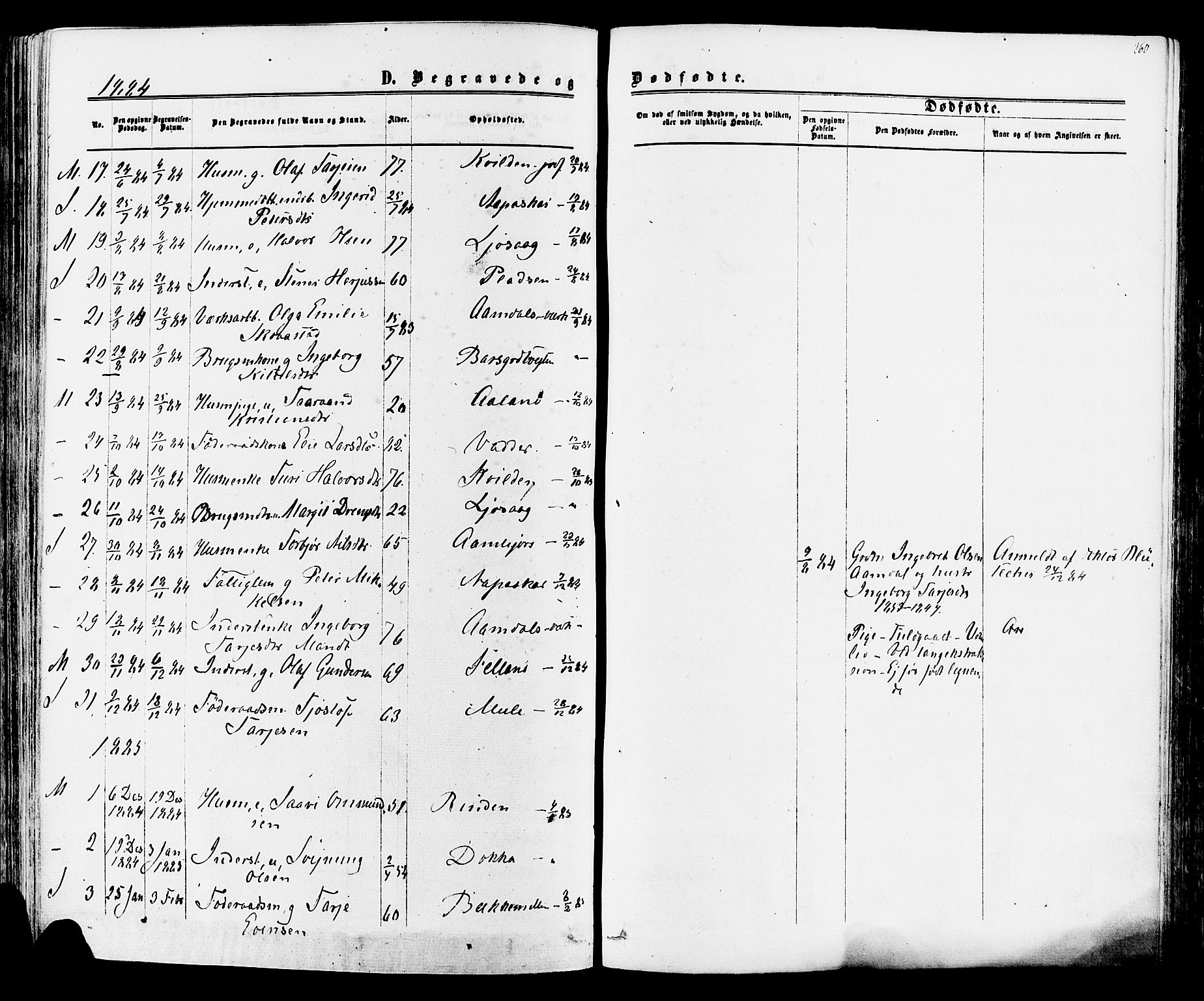 Mo kirkebøker, SAKO/A-286/F/Fa/L0006: Parish register (official) no. I 6, 1865-1885, p. 260