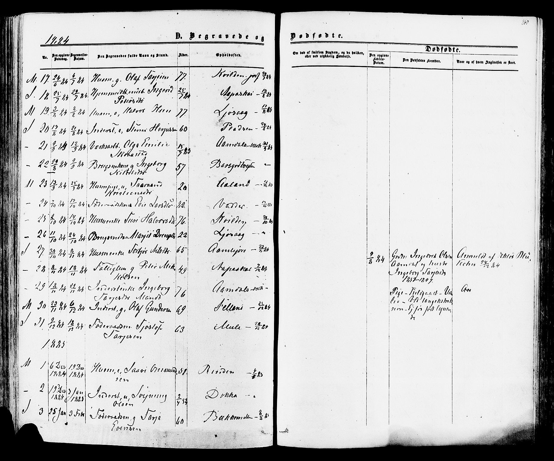 Mo kirkebøker, AV/SAKO-A-286/F/Fa/L0006: Parish register (official) no. I 6, 1865-1885, p. 260