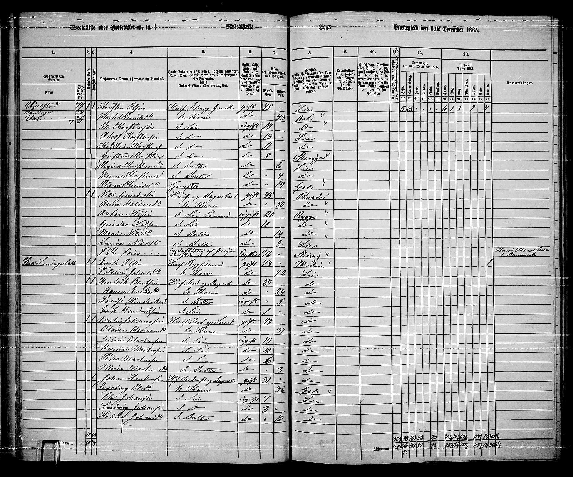 RA, 1865 census for Lier, 1865, p. 51
