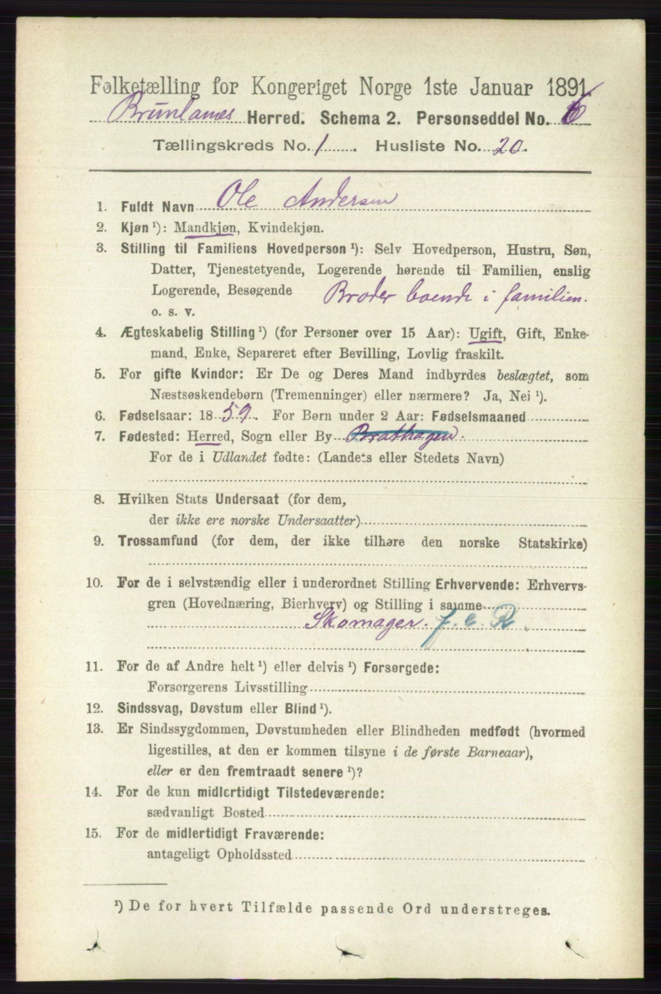 RA, 1891 census for 0726 Brunlanes, 1891, p. 245