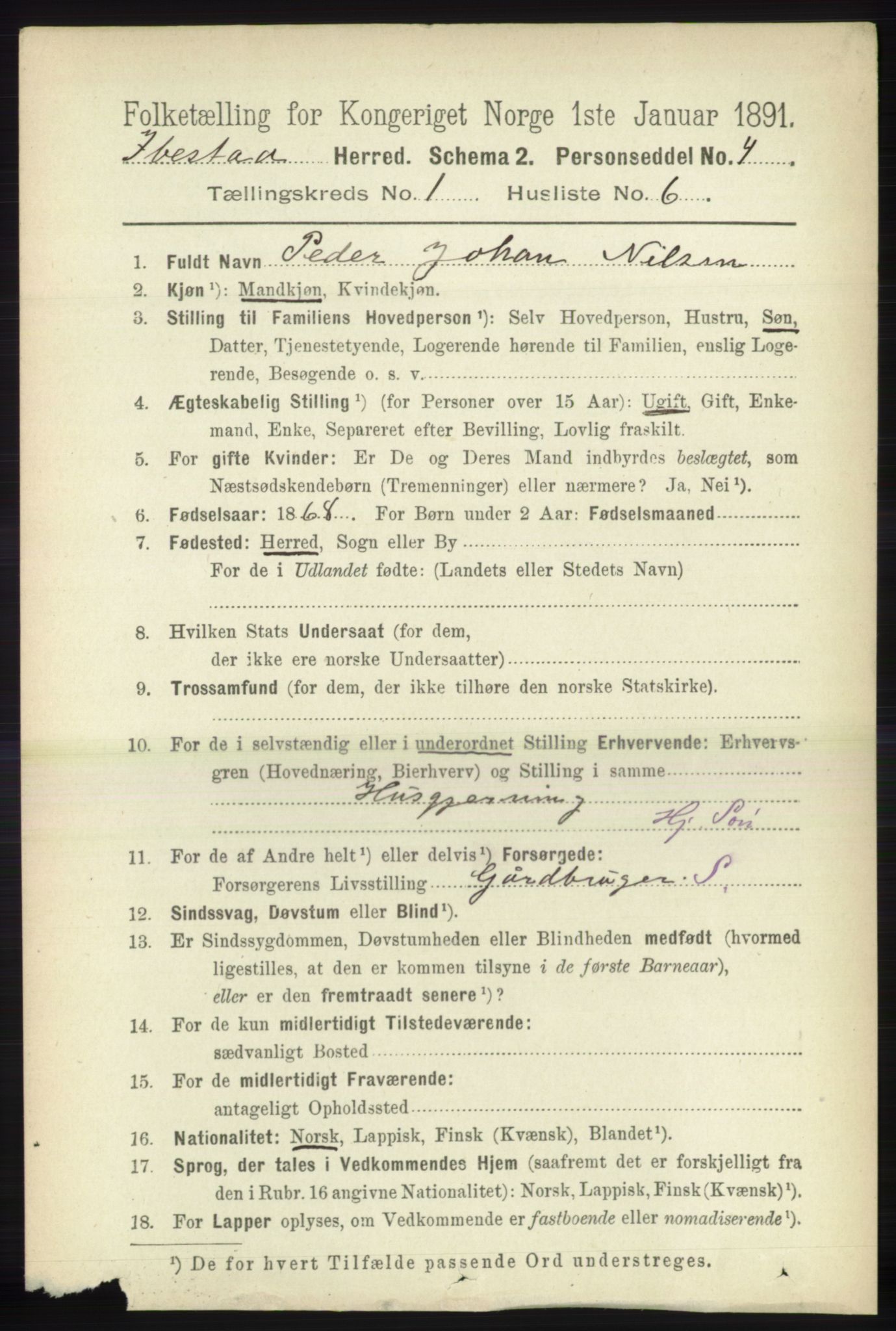 RA, 1891 census for 1917 Ibestad, 1891, p. 157