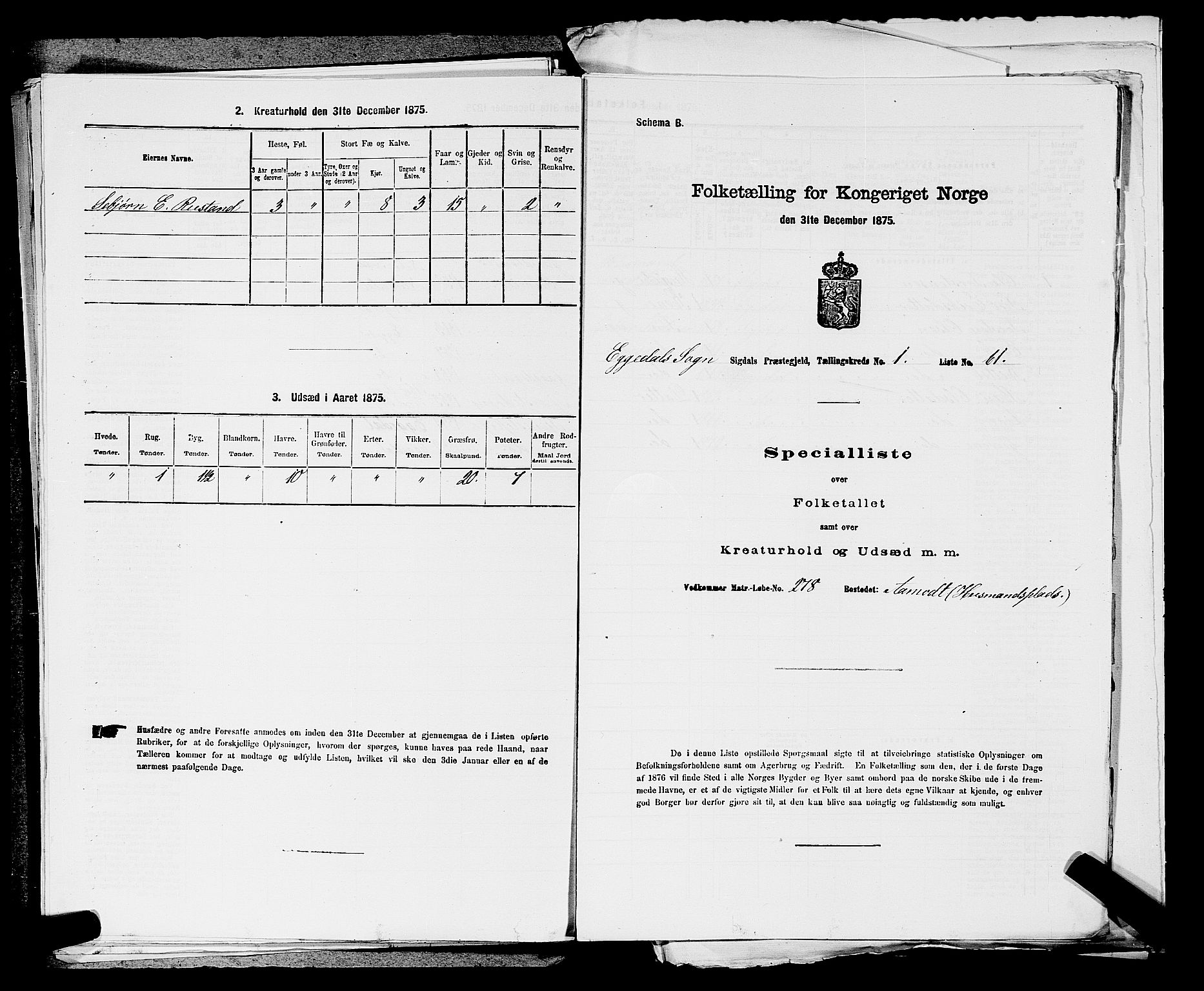 SAKO, 1875 census for 0621P Sigdal, 1875, p. 1994