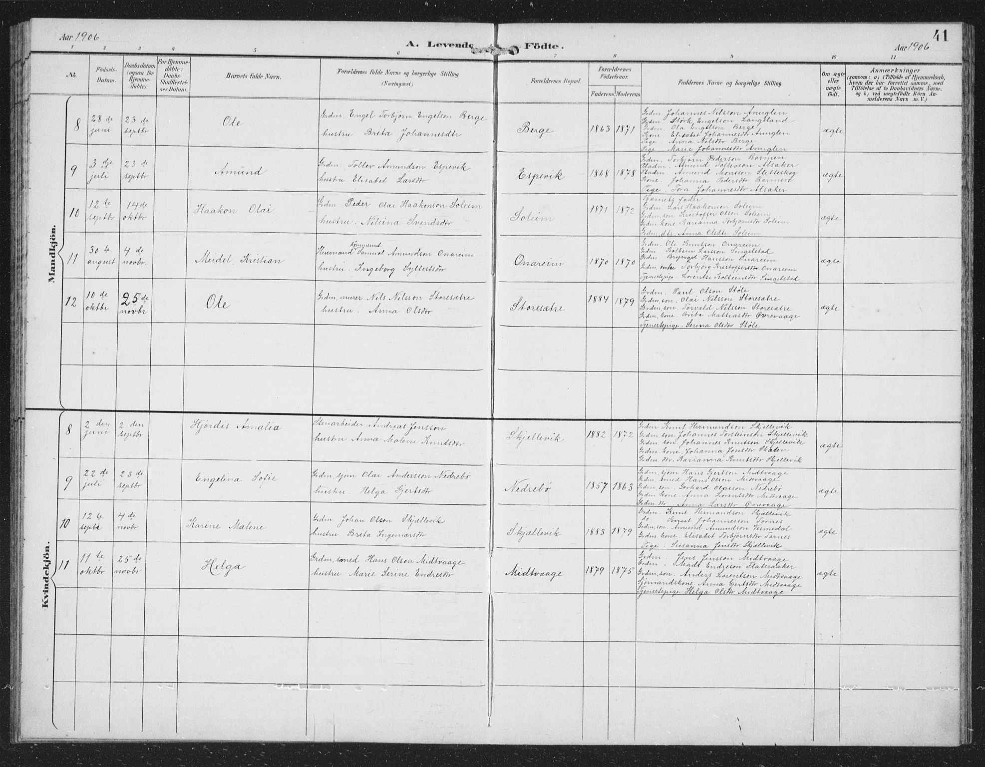 Tysnes sokneprestembete, AV/SAB-A-78601/H/Hab: Parish register (copy) no. C 2, 1896-1907, p. 41