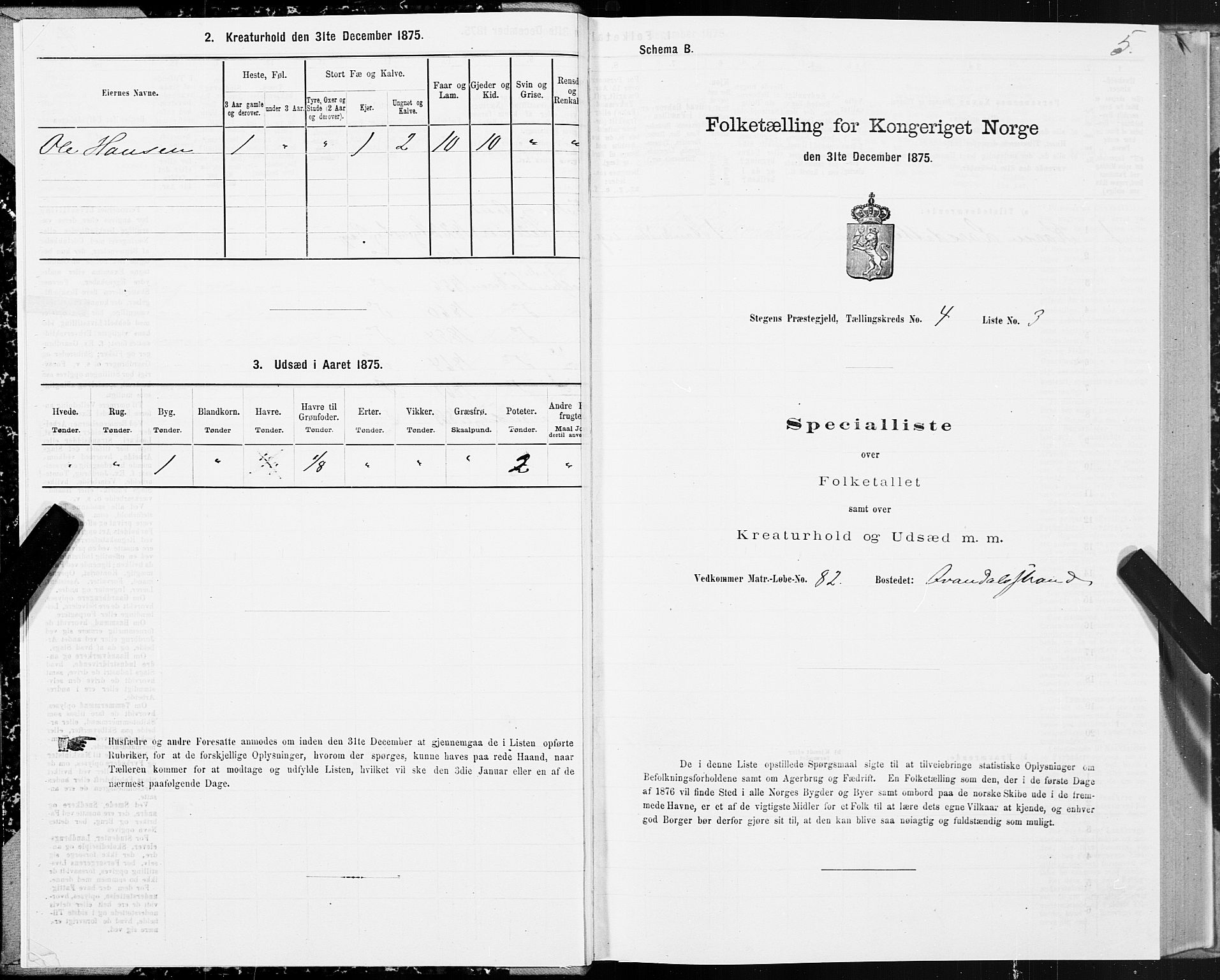 SAT, 1875 census for 1848P Steigen, 1875, p. 2005