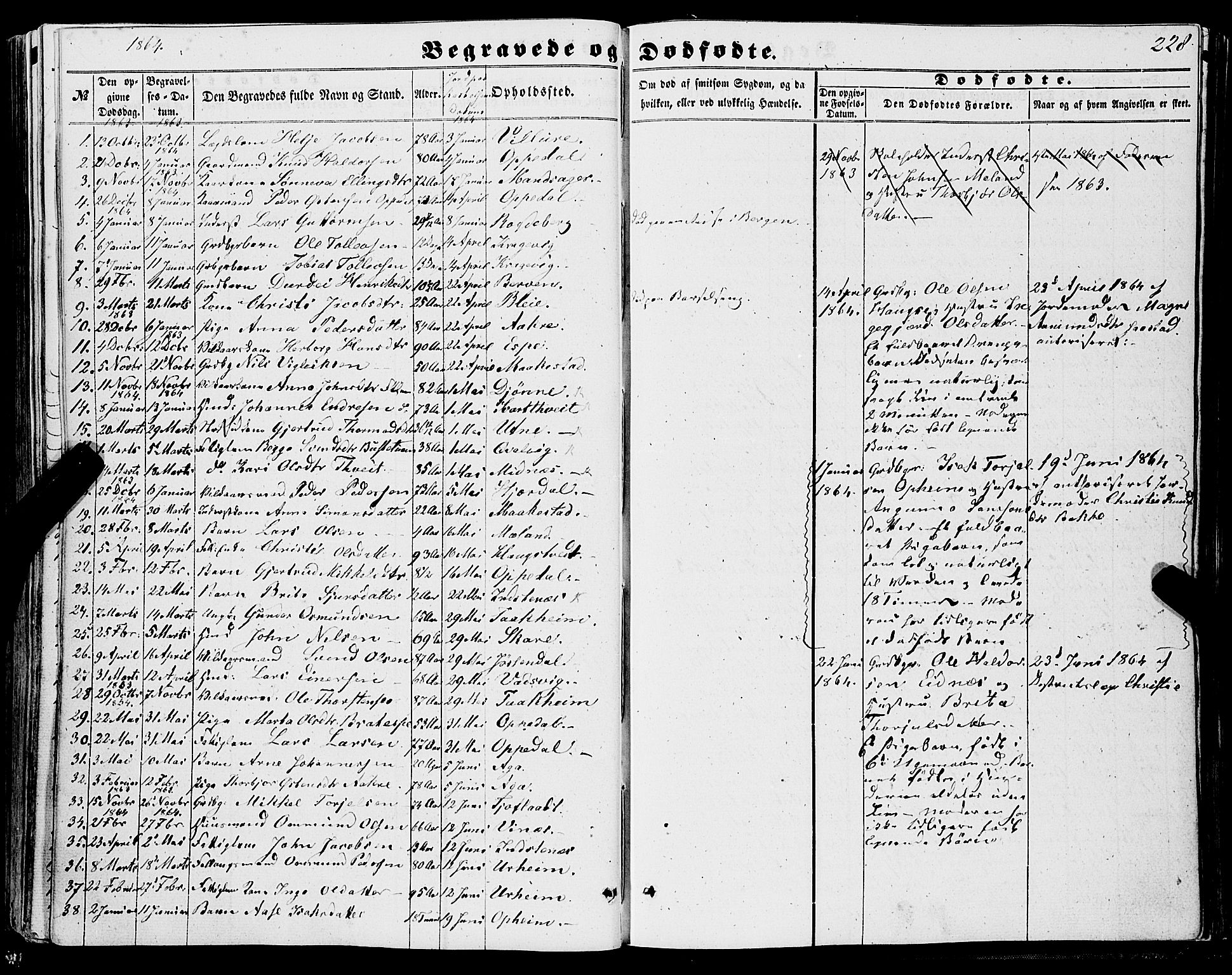 Ullensvang sokneprestembete, AV/SAB-A-78701/H/Haa: Parish register (official) no. A 11, 1854-1866, p. 228