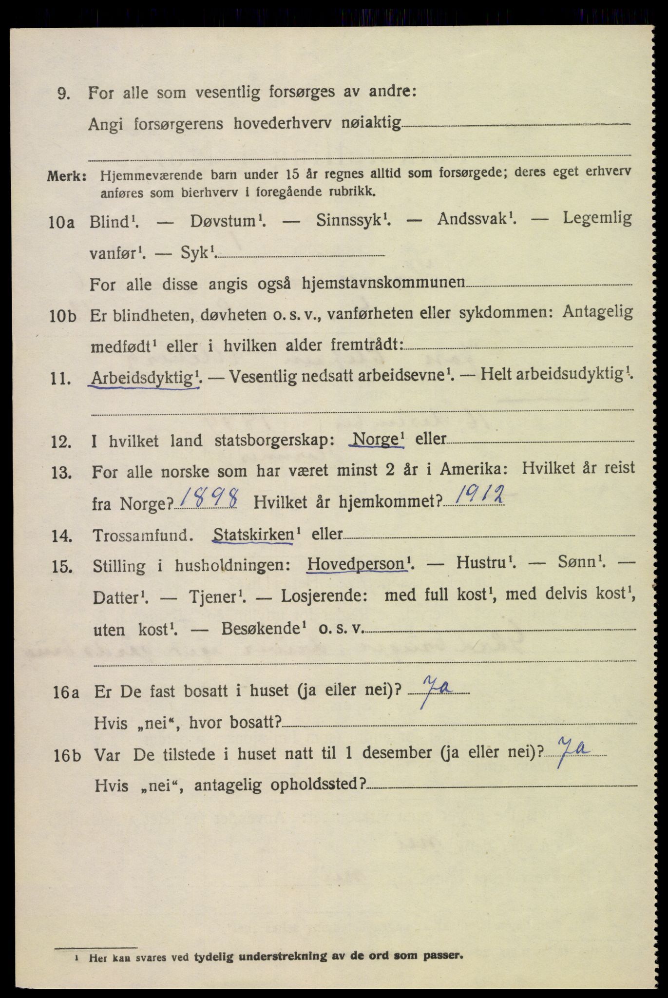 SAK, 1920 census for Hornnes, 1920, p. 1588