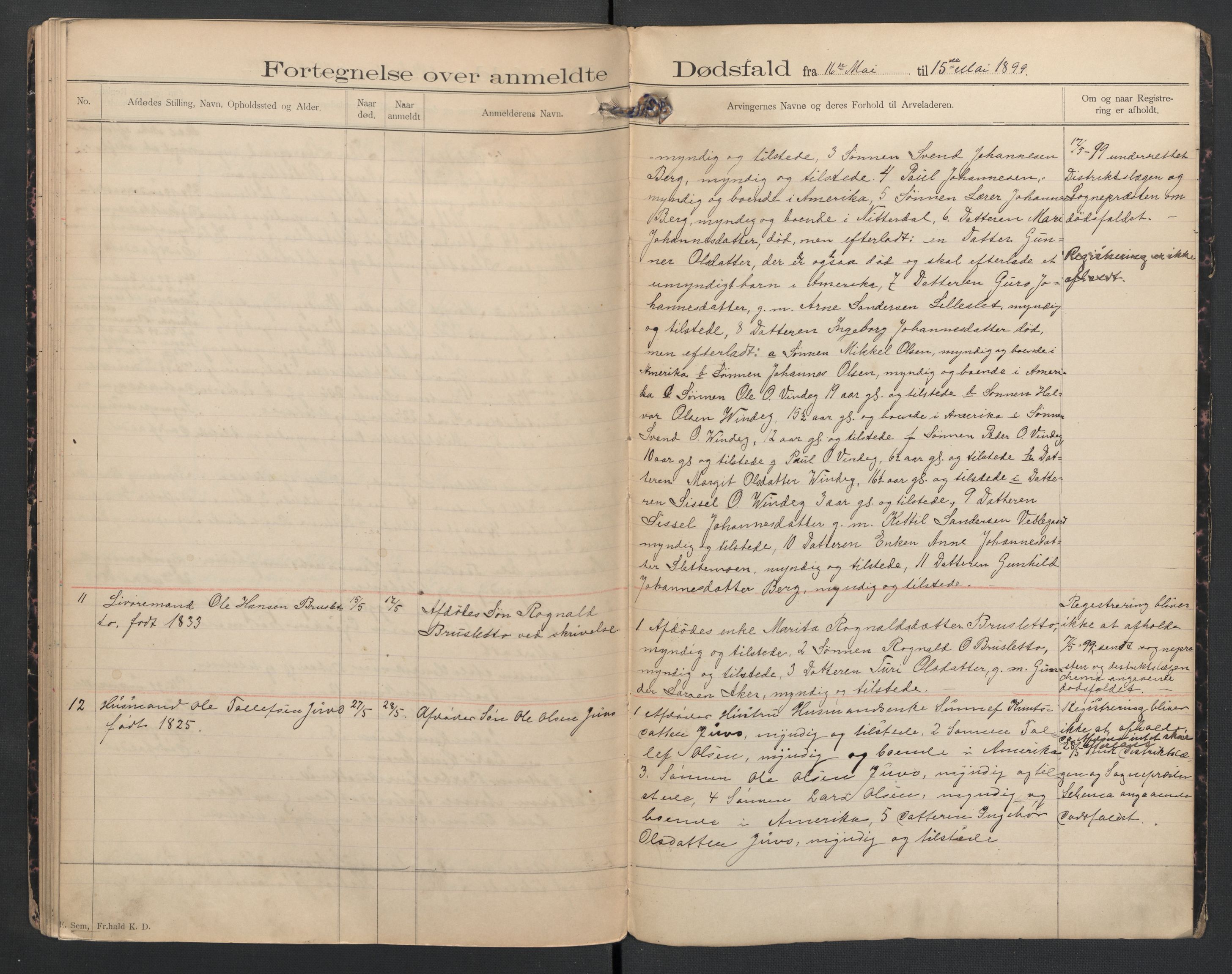 Hol lensmannskontor, AV/SAKO-A-512/H/Ha/L0002: Dødsanmeldelsesprotokoll, 1893-1899