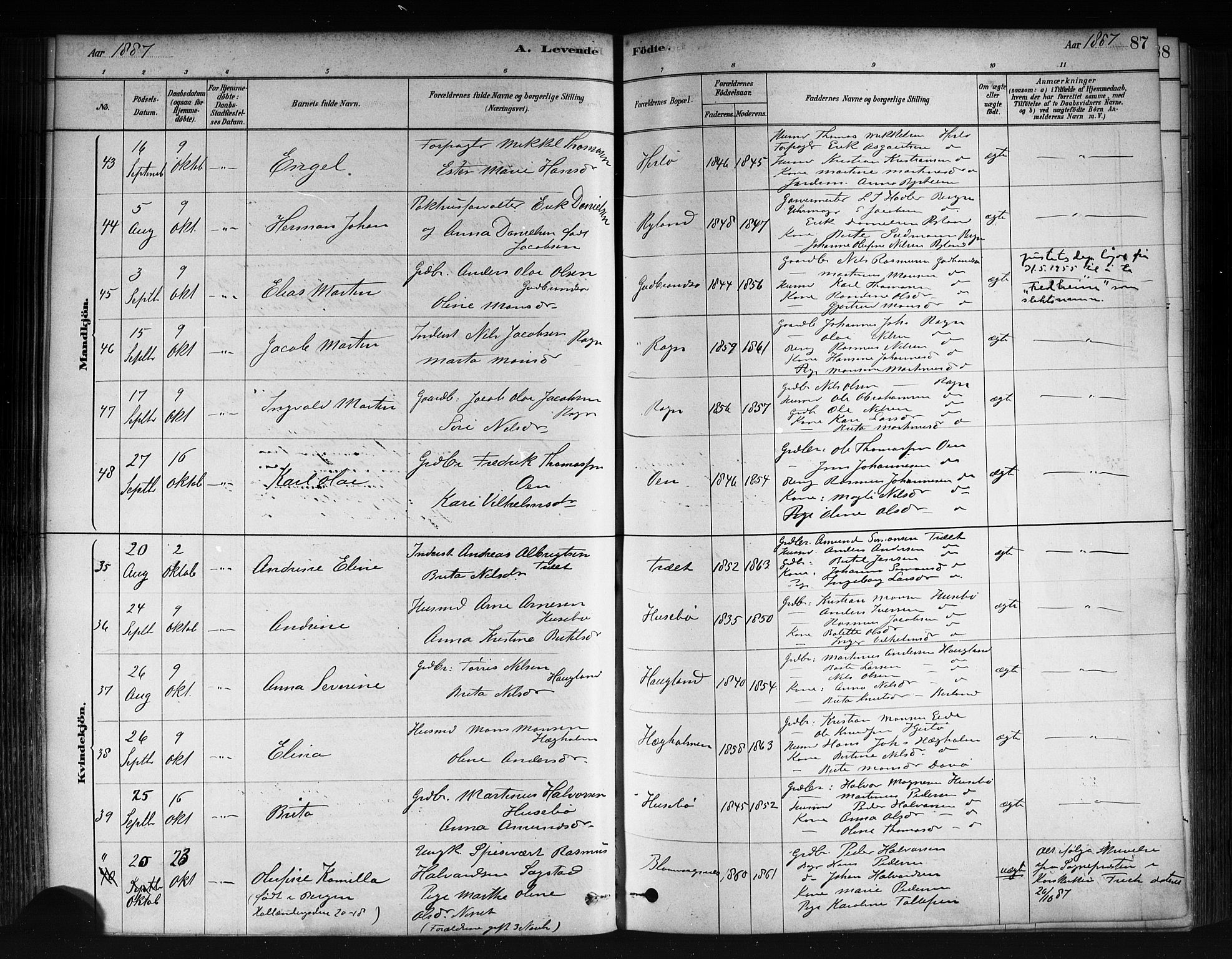 Herdla Sokneprestembete, AV/SAB-A-75701/H/Haa: Parish register (official) no. A 3, 1878-1890, p. 87