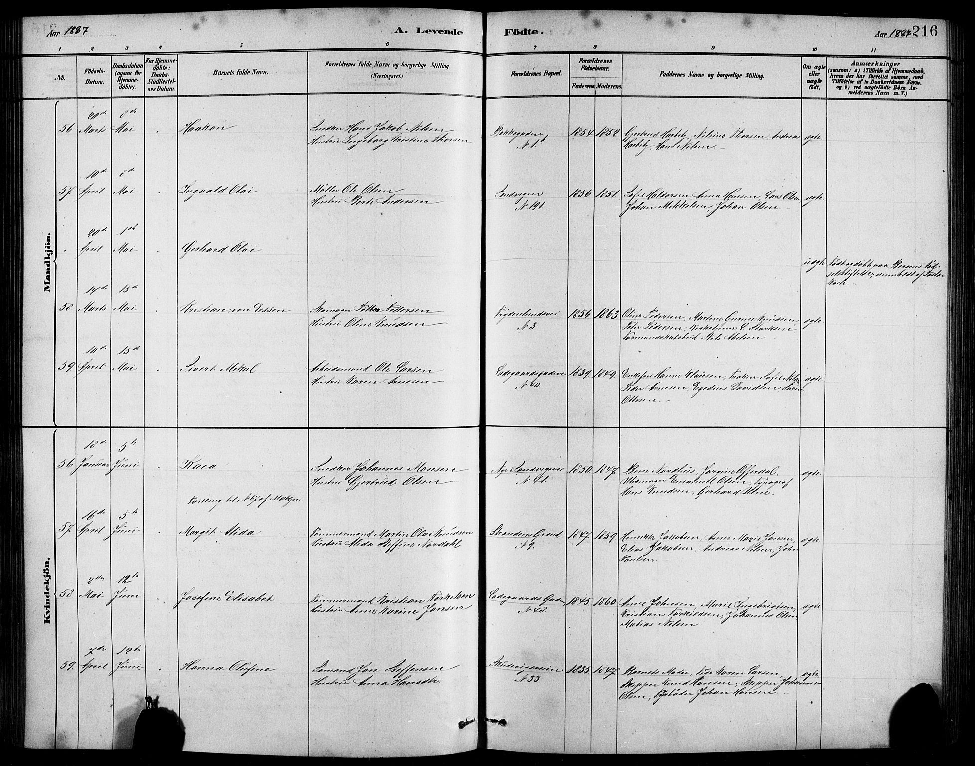 Sandviken Sokneprestembete, SAB/A-77601/H/Hb/L0001: Parish register (copy) no. A 2, 1879-1892, p. 216