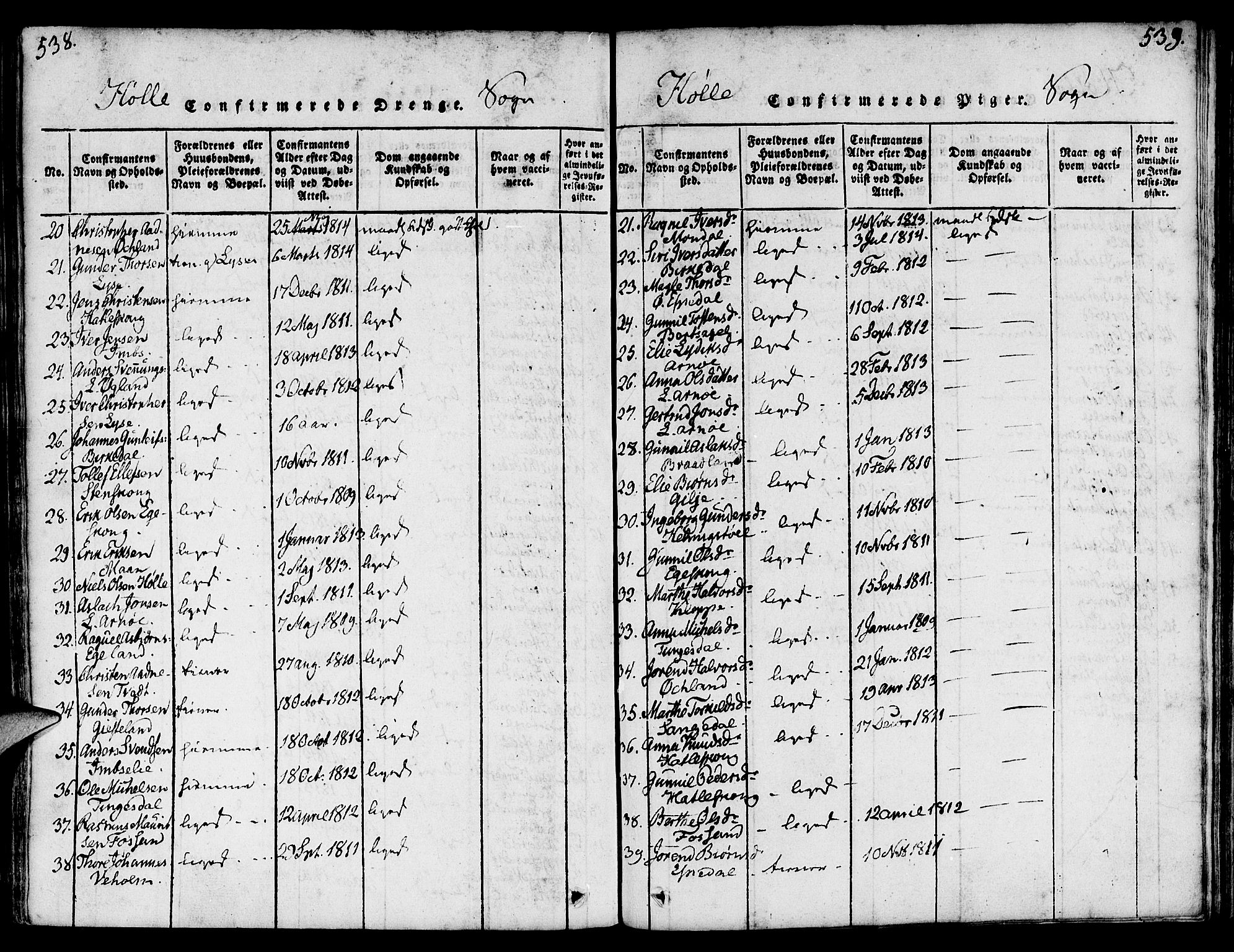 Strand sokneprestkontor, SAST/A-101828/H/Ha/Haa/L0004: Parish register (official) no. A 4 /2, 1816-1833, p. 538-539