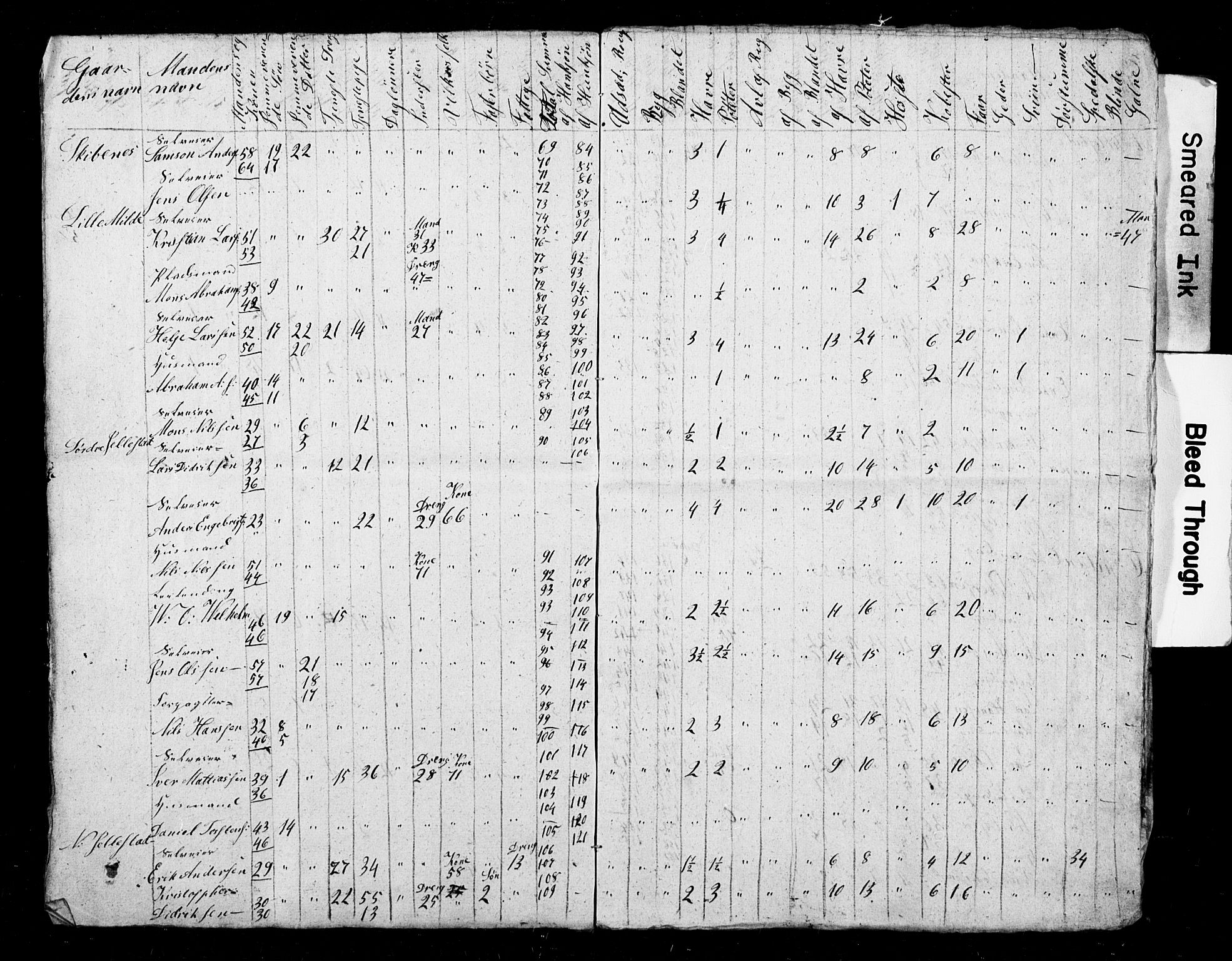 , Census 1845 for Fana, 1845, p. 17