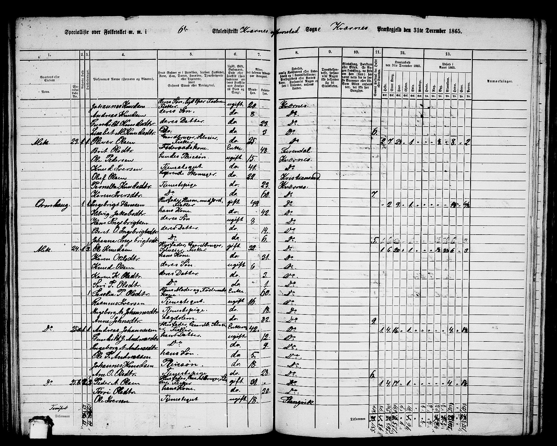 RA, 1865 census for Kvernes, 1865, p. 116