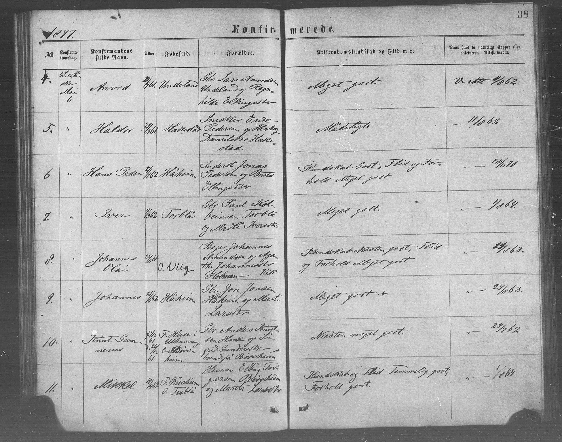 Ulvik sokneprestembete, SAB/A-78801/H/Haa: Parish register (official) no. A 17, 1873-1891, p. 38